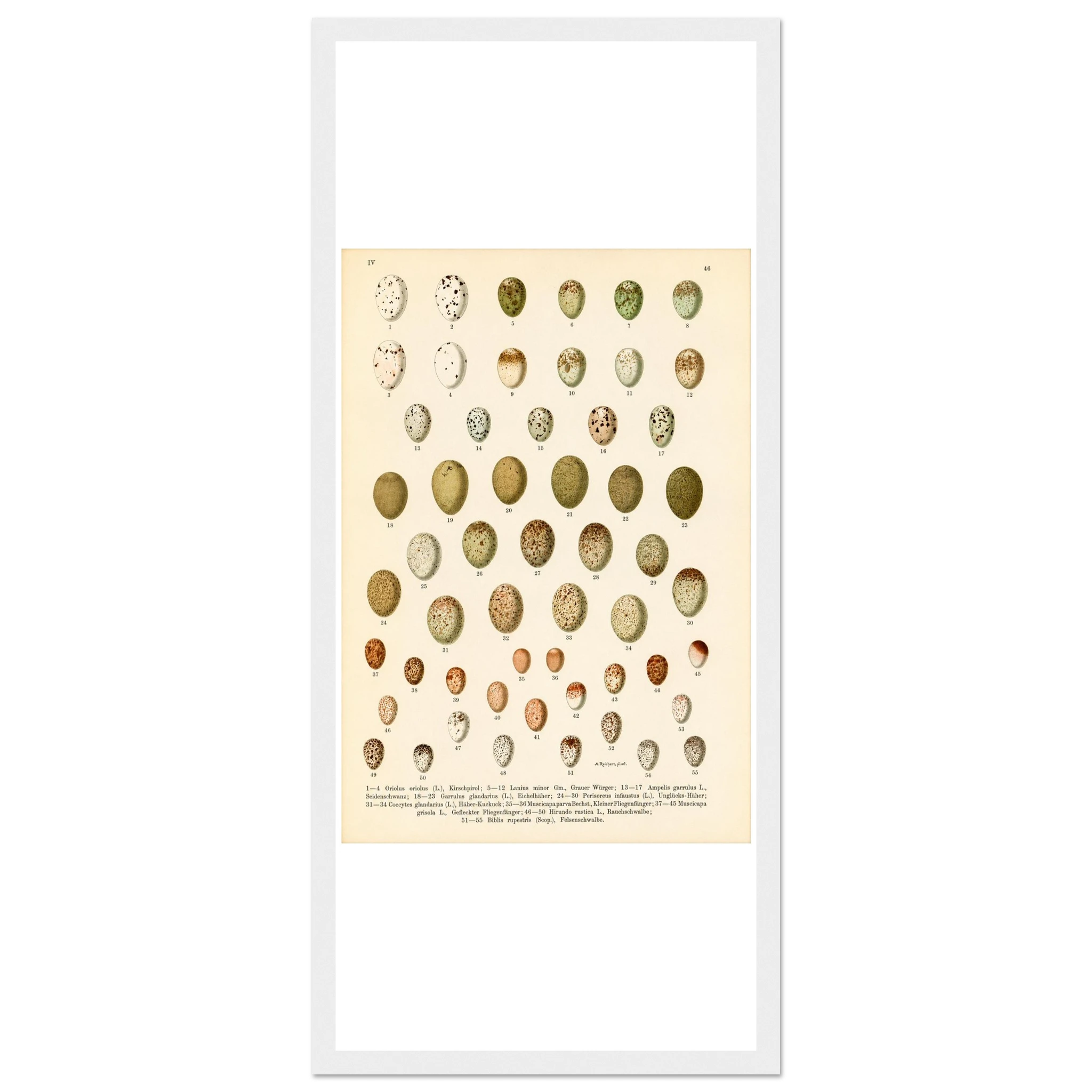 e4f7ed2e-0484-4ab4-a2c4-e009fd039376