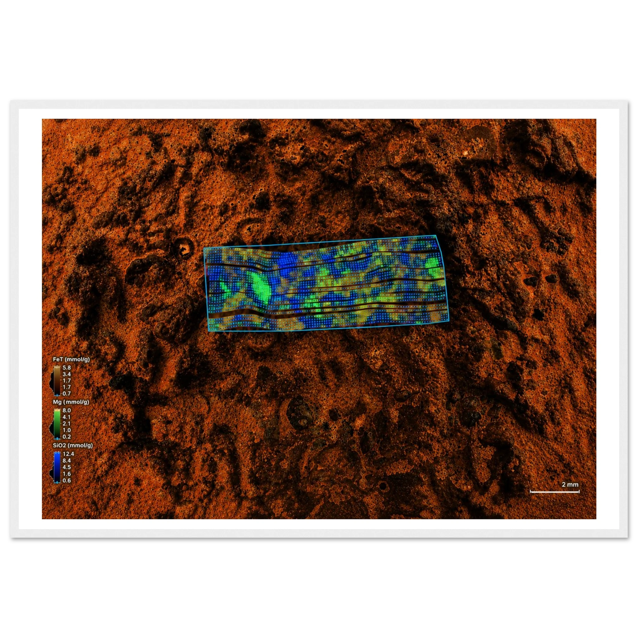e511602b-8c13-4ee8-be2f-ff55b4523956