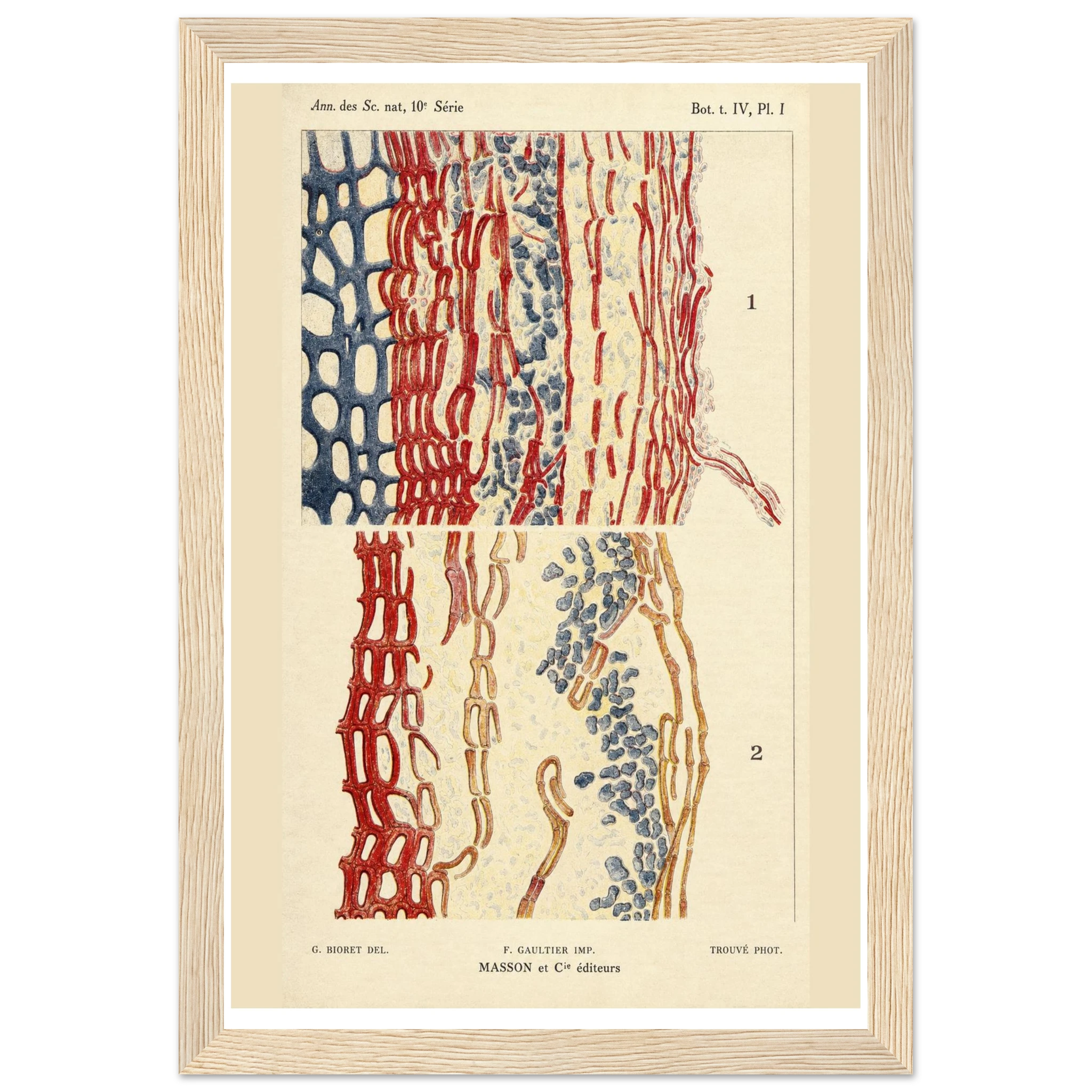 e547a49b-45d9-4390-a0ce-bdc93137abeb