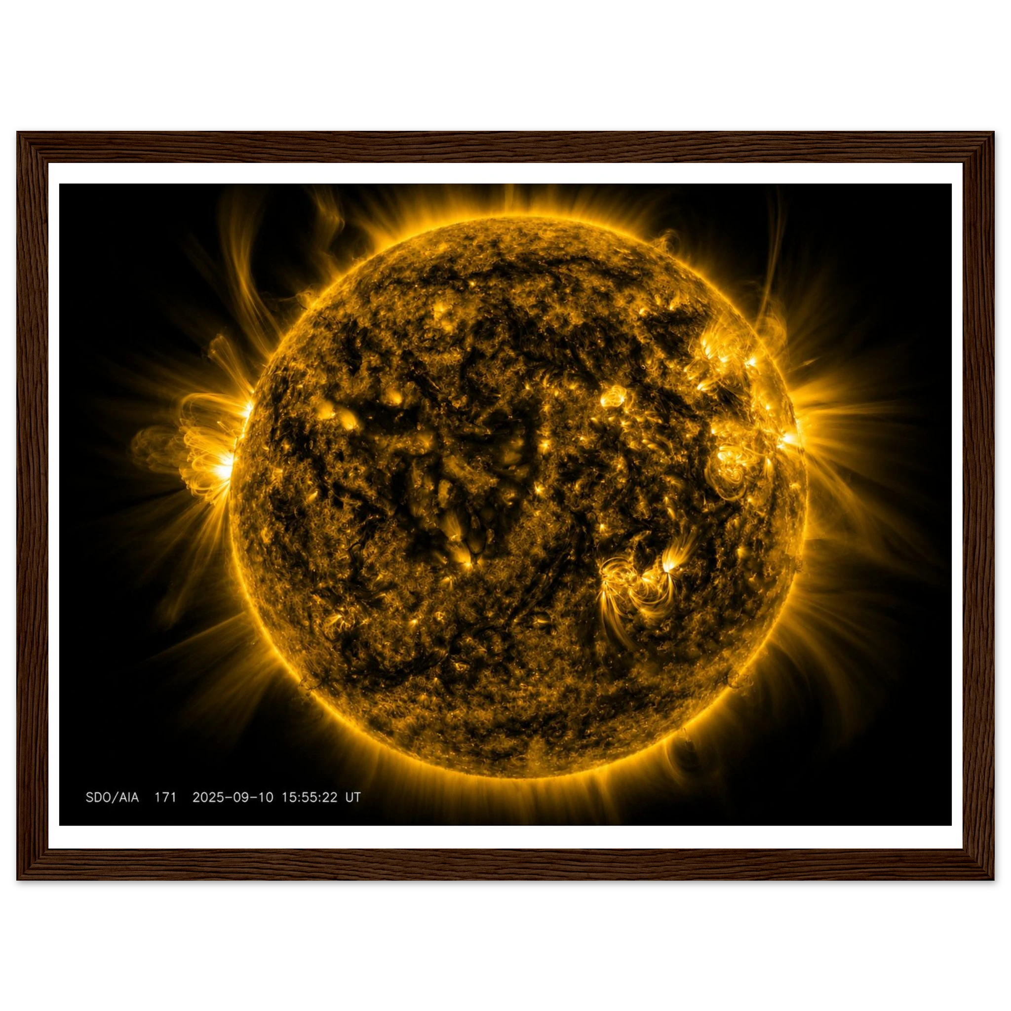e617732a-31c7-4b6e-b79c-ef4905707f5f