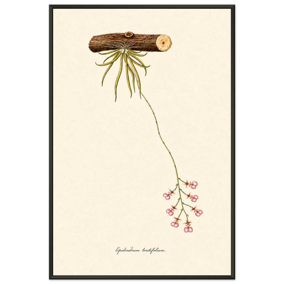 e659834e-47f7-4096-9484-9f8e6bf1ab17
