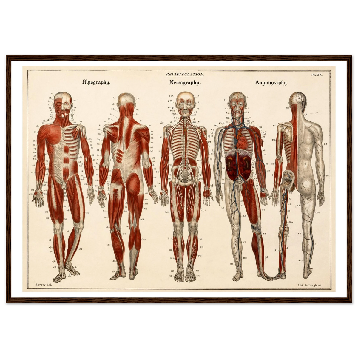 e6922aaf-4a82-4b82-8140-10eb72352f56
