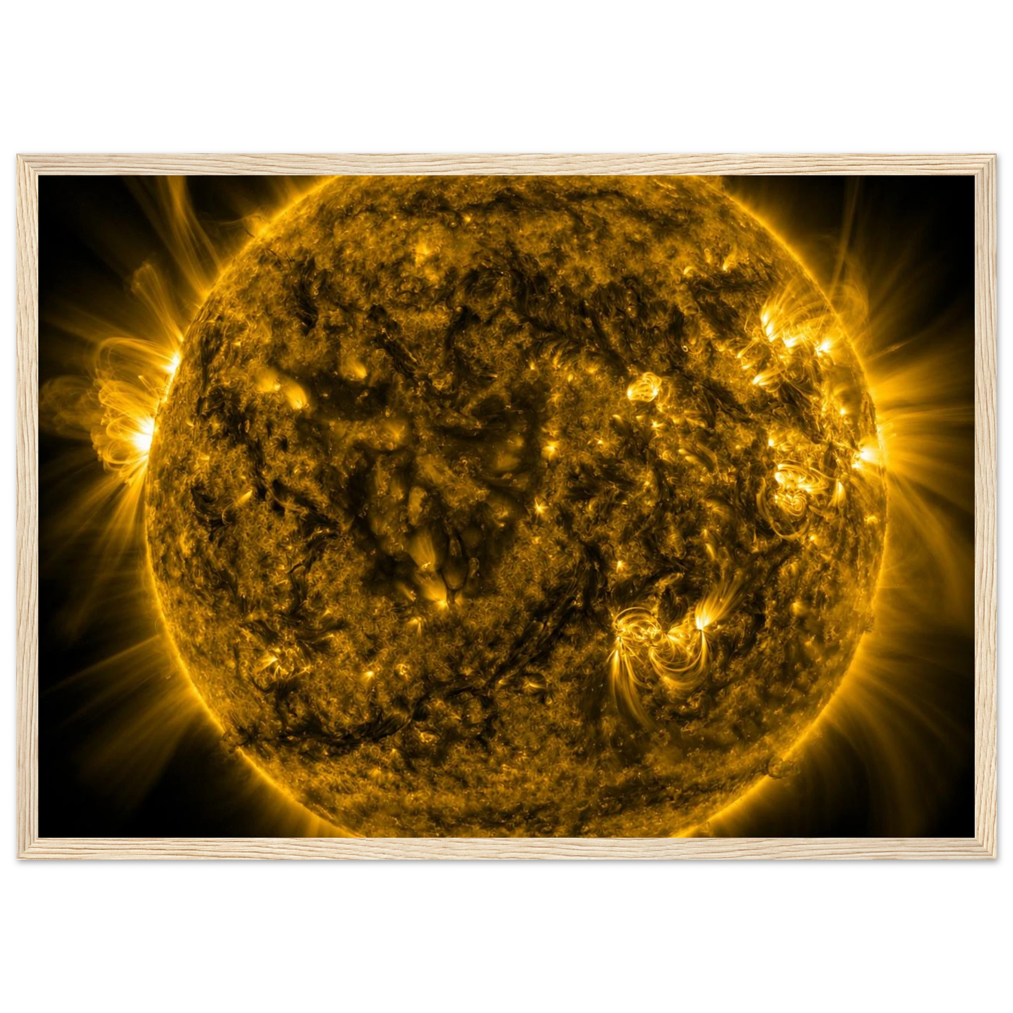 e7213c83-40a8-41ab-9a5d-4edaed07ade2