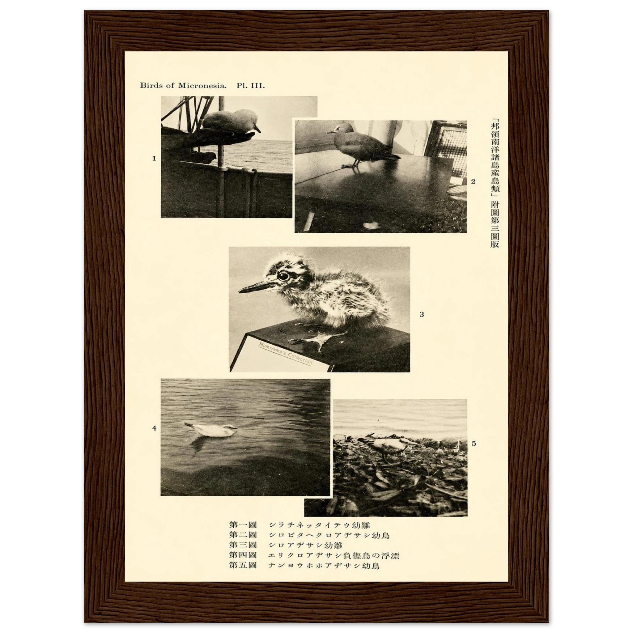 e723f670-4bf0-400d-b964-e22413f36f52