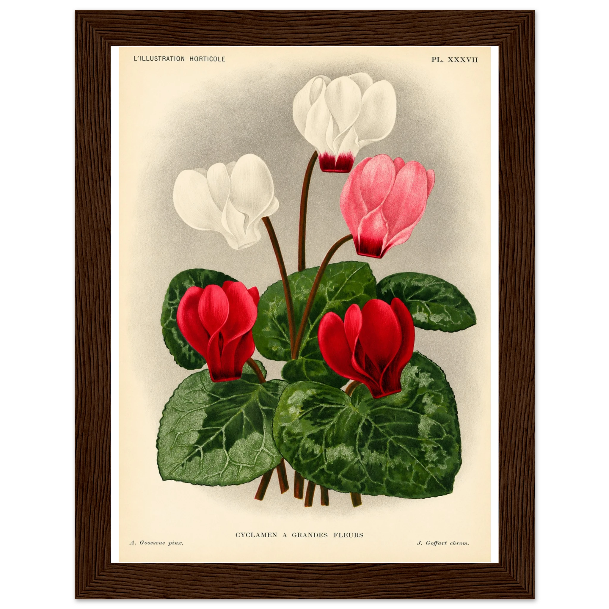 e8356504-1bfe-4cdf-947b-6e2fd6bc85e2