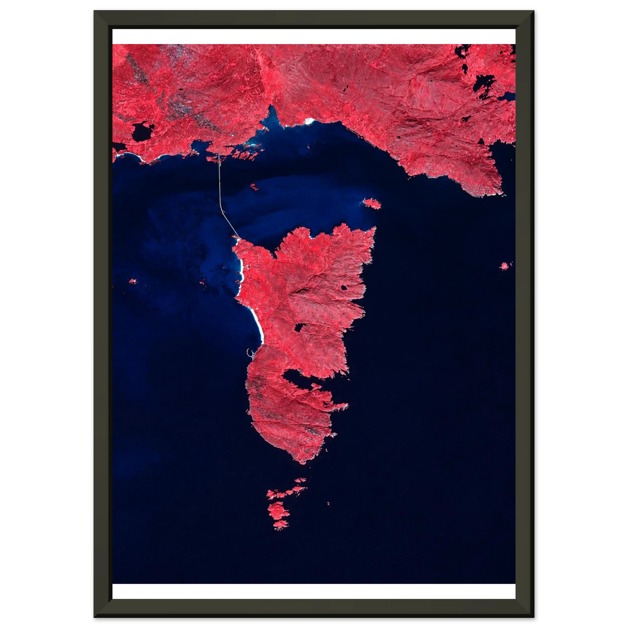 e8815748-2517-4d10-98cb-e1aefbbe2575