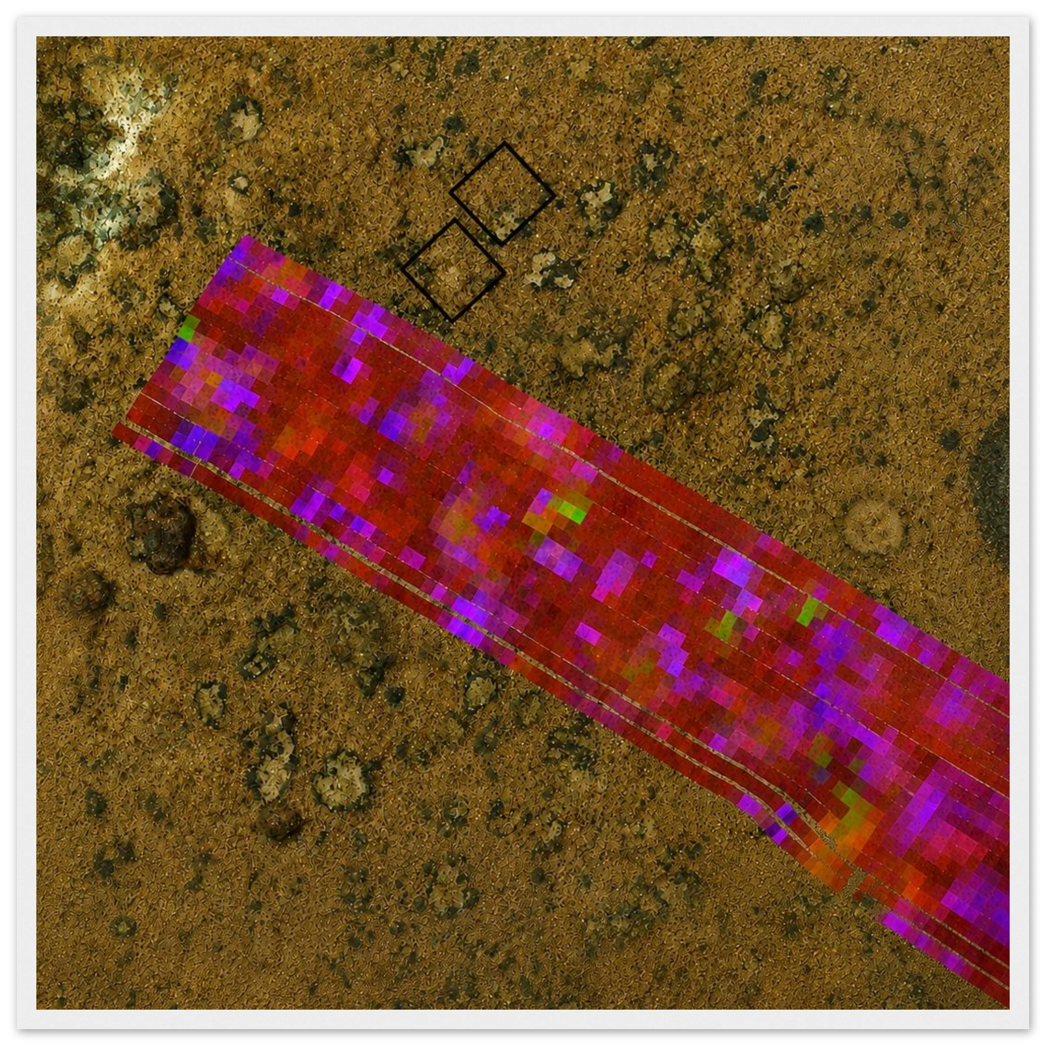 e8ab0369-a4c4-4532-af9a-a2858da825cb