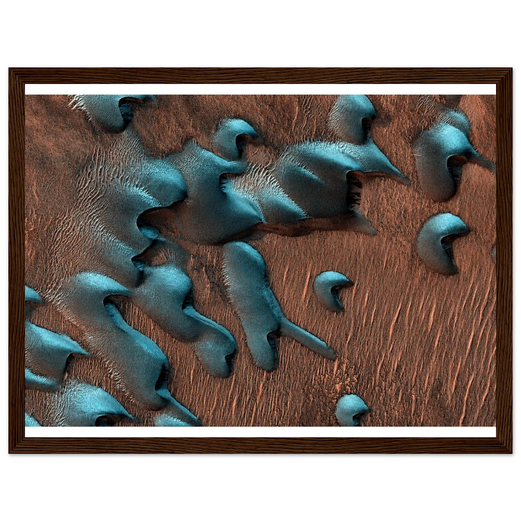 e8c43121-4f74-4818-a25b-59da8e641b66