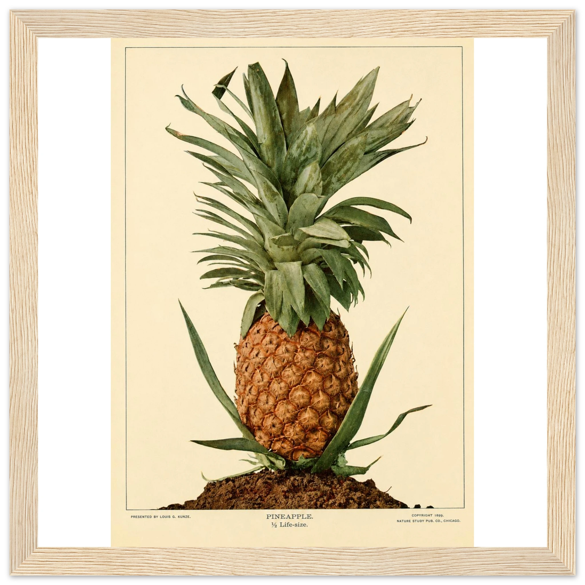 e8e840fc-b3f2-4de3-85a6-006cbd7cfb75