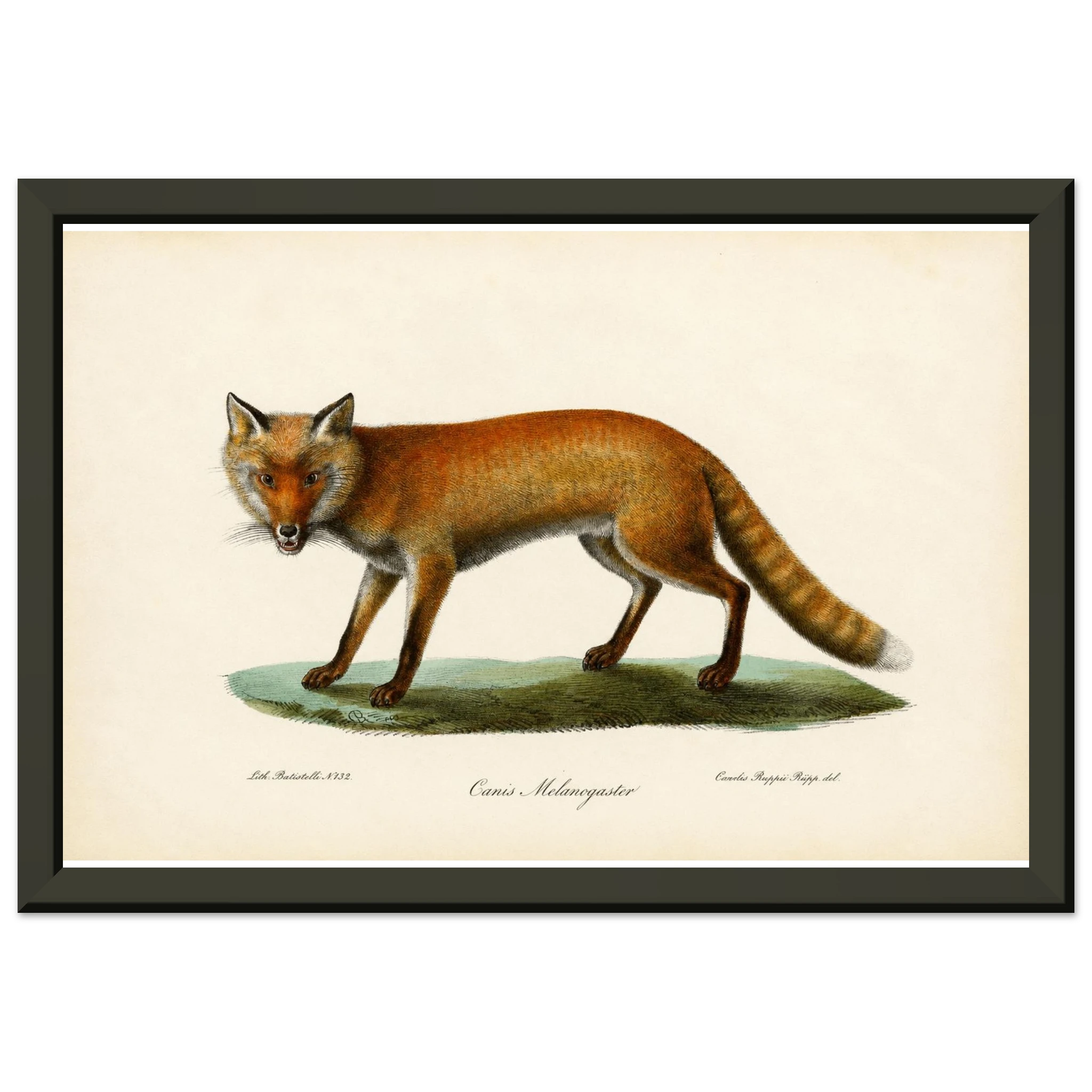 e8ed2756-fa47-4cdf-aea4-b215c157783e