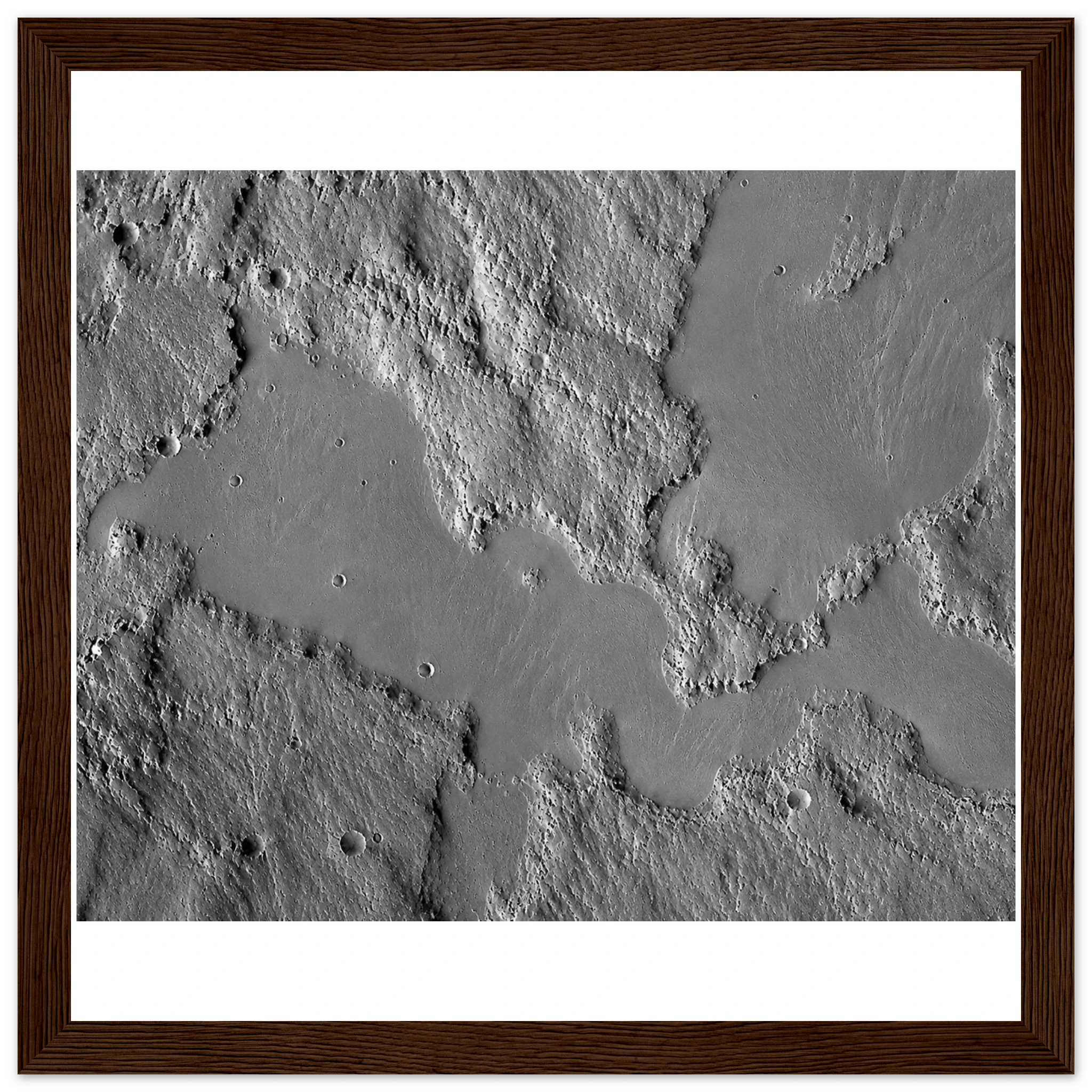 e9b376c9-64b5-4c0e-8c4d-4f292095364b
