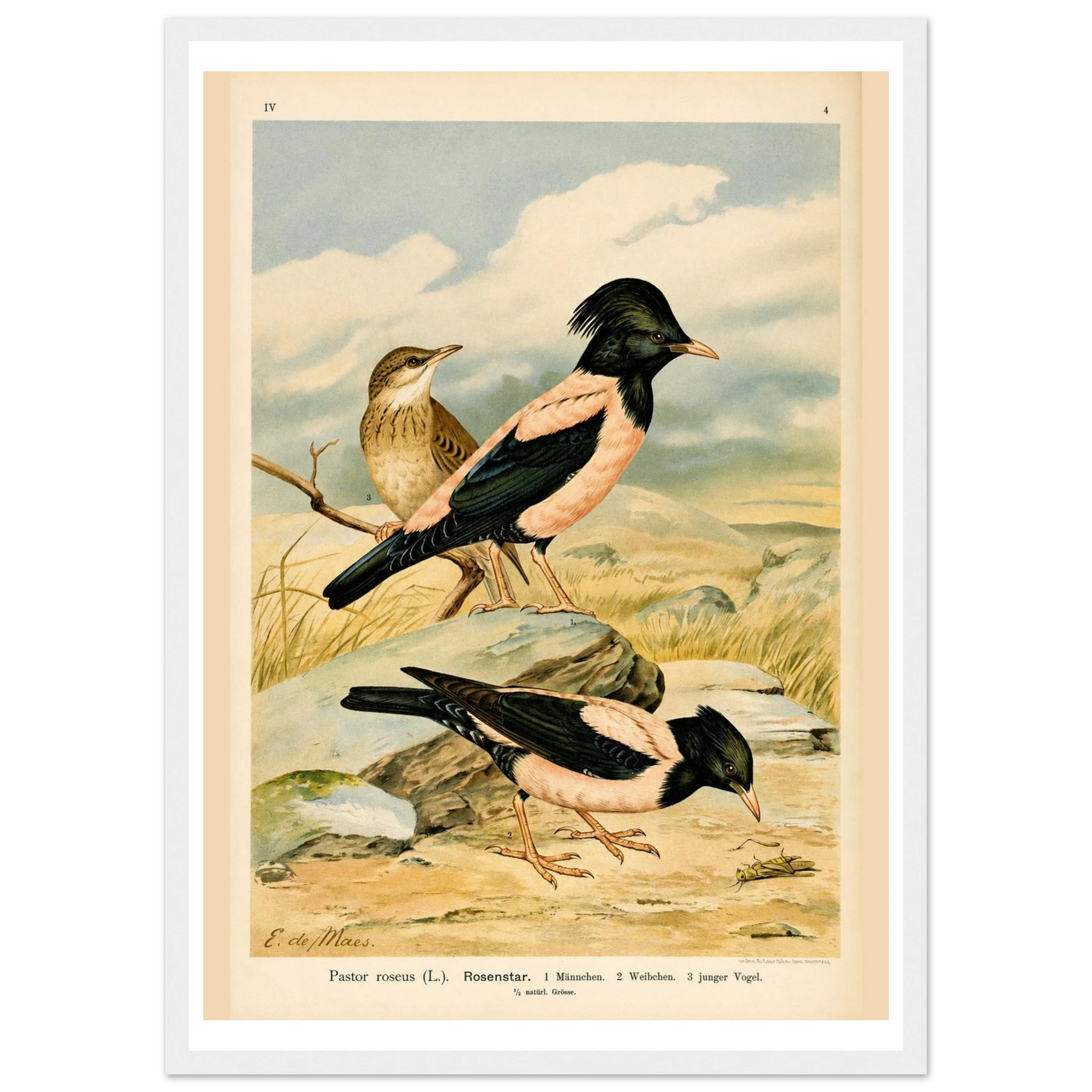 ea469f49-895d-4fcd-b4f5-4b025a4bcfeb