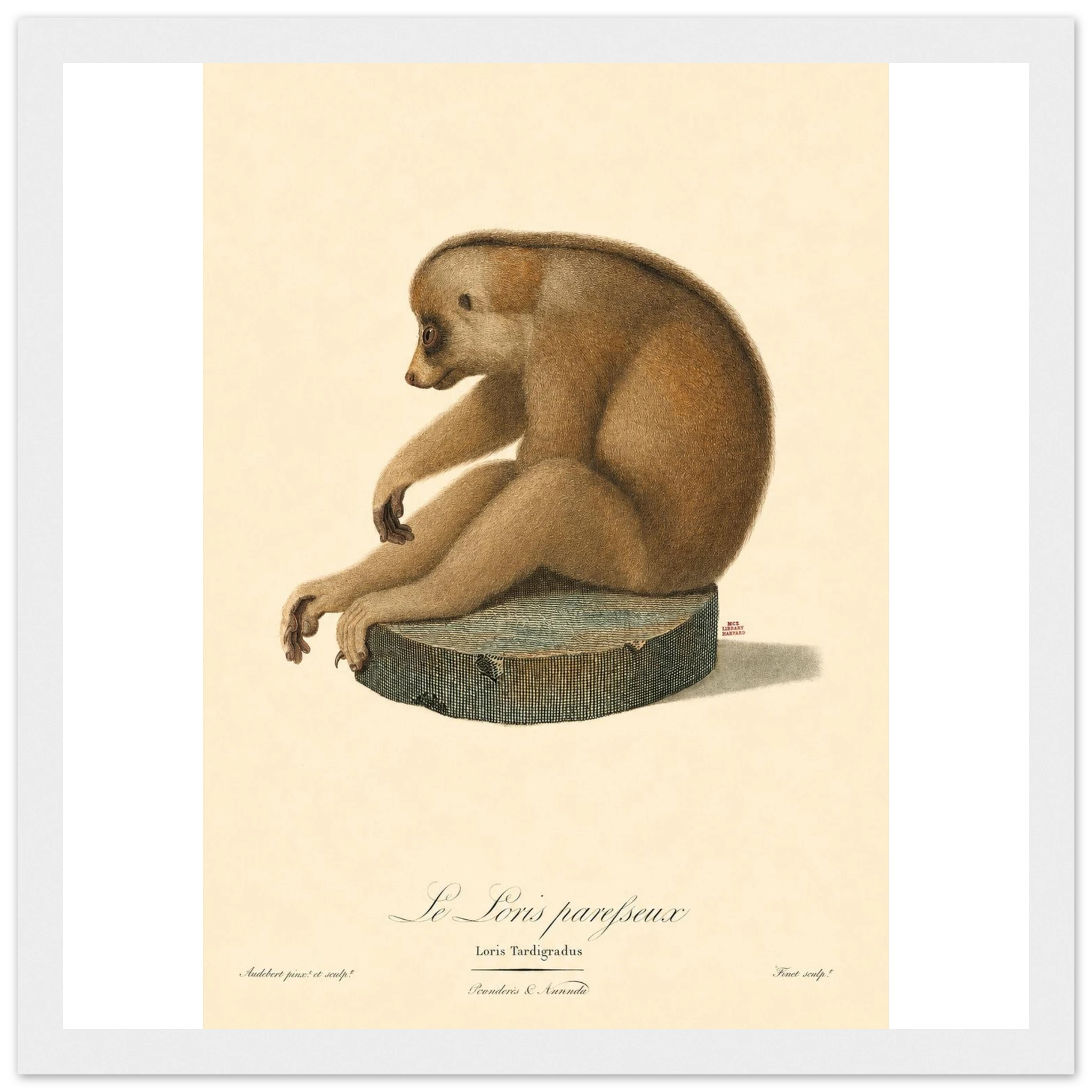 ea996a10-f90a-4445-87e7-d47c6d9bc0ea