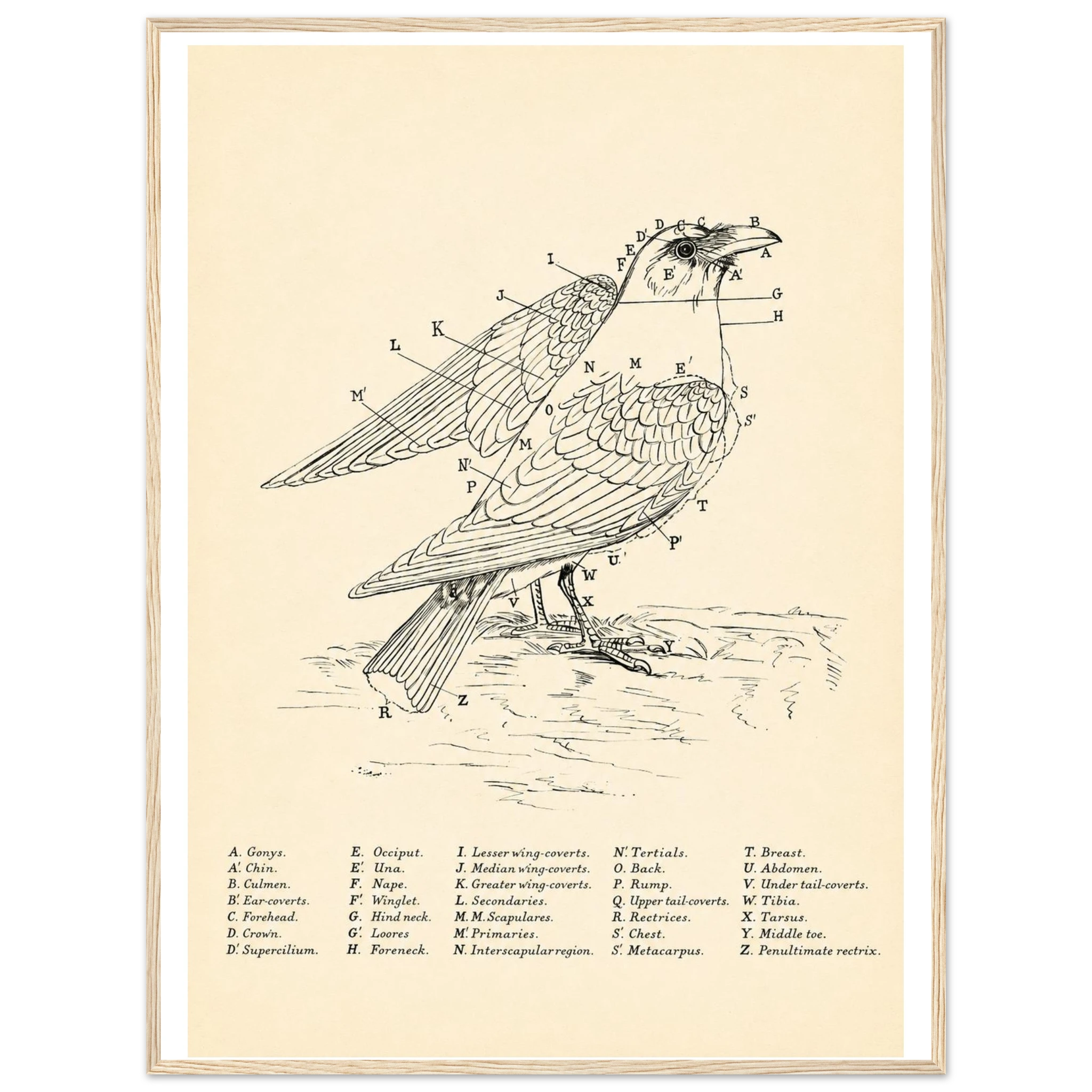 eab07cfe-f7e7-461e-987e-375b033e451b