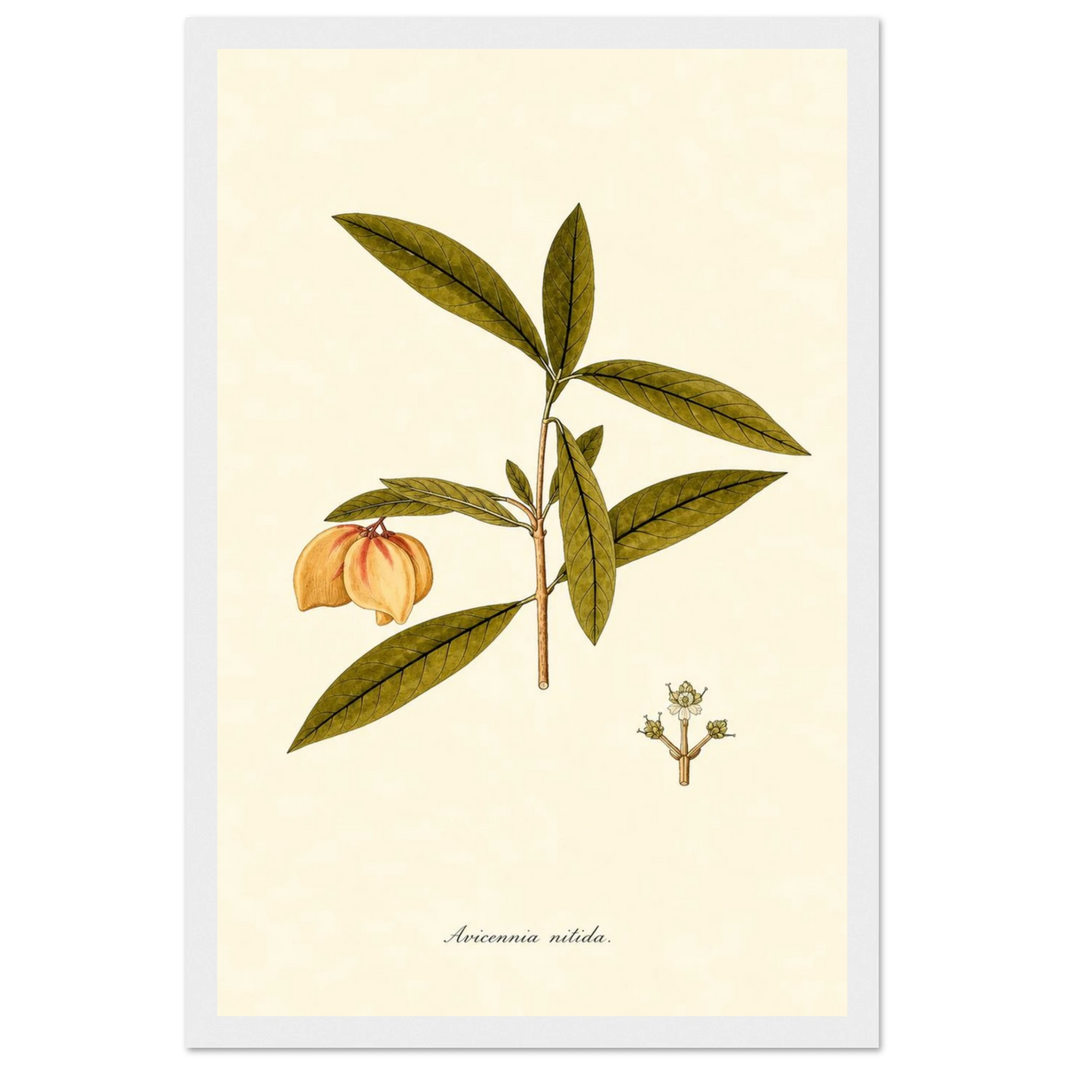 eb668249-6223-4d36-b4e1-f3e31b4ec78c