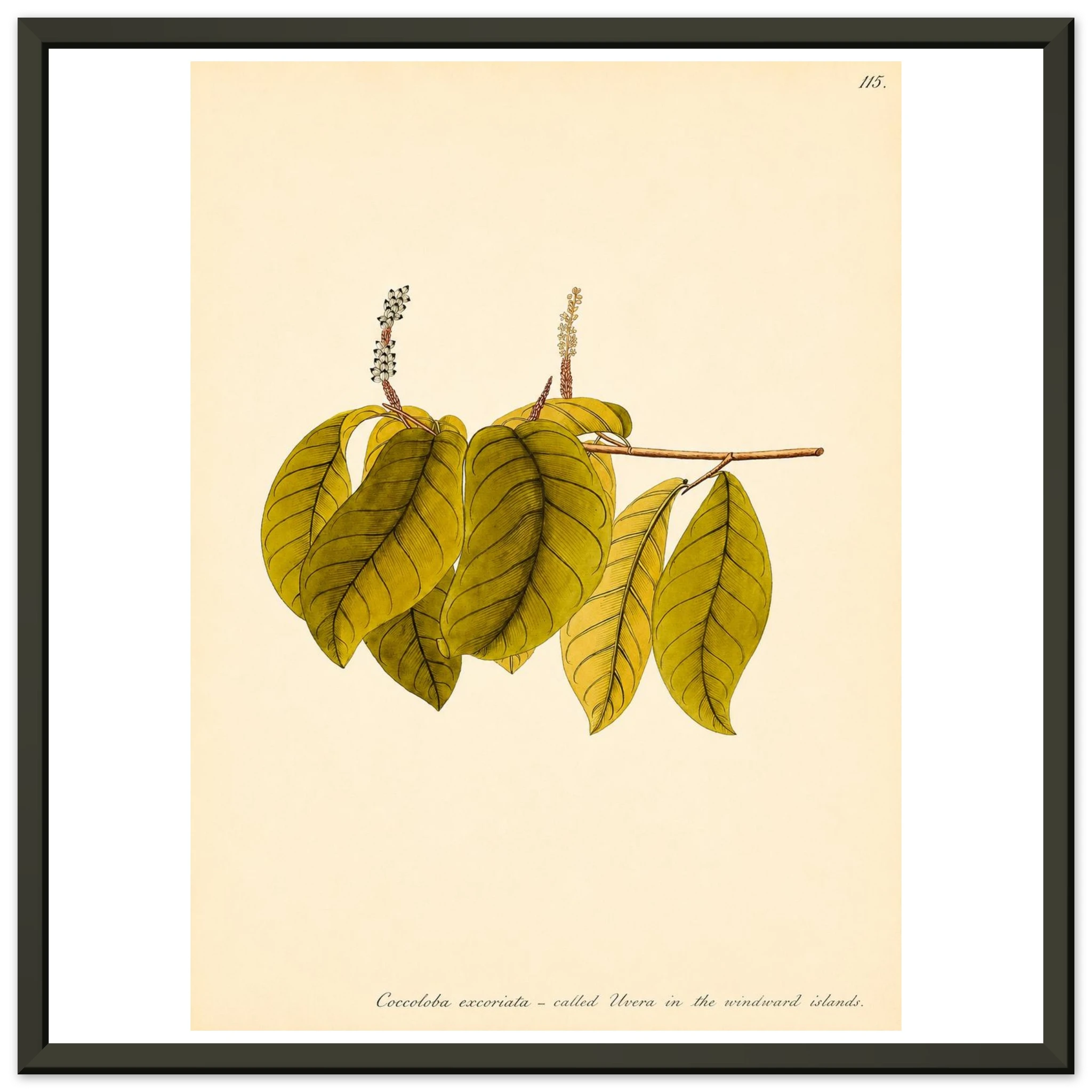 ebbc2107-1900-408c-a0b6-e56cad44d6f7