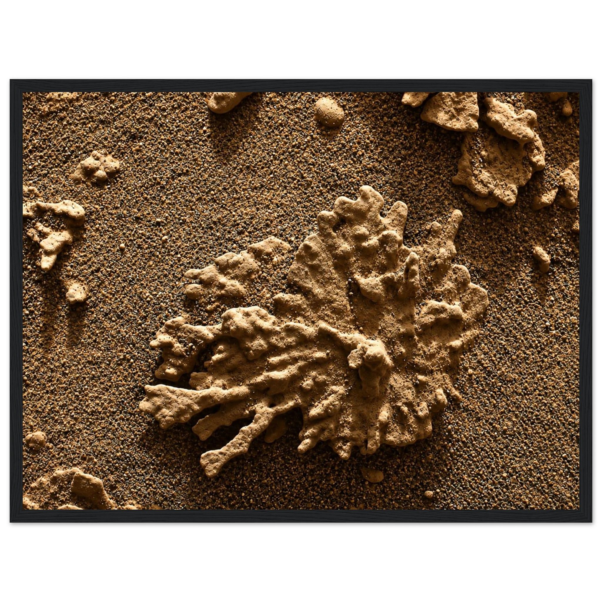 ec15aae4-b07e-4605-8297-07fbe307e2c4
