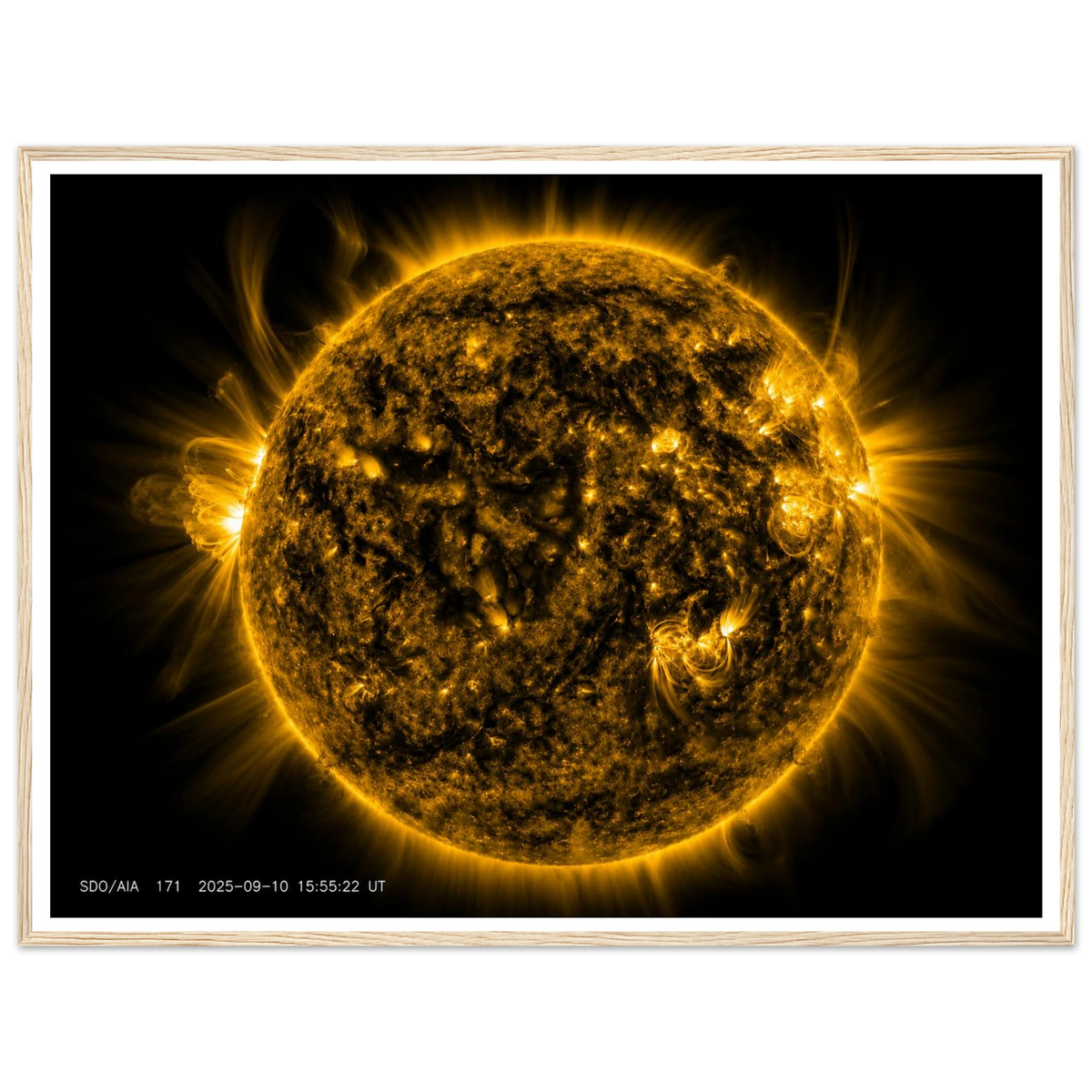 ec229af0-f832-43e0-89b5-0cb47d392340
