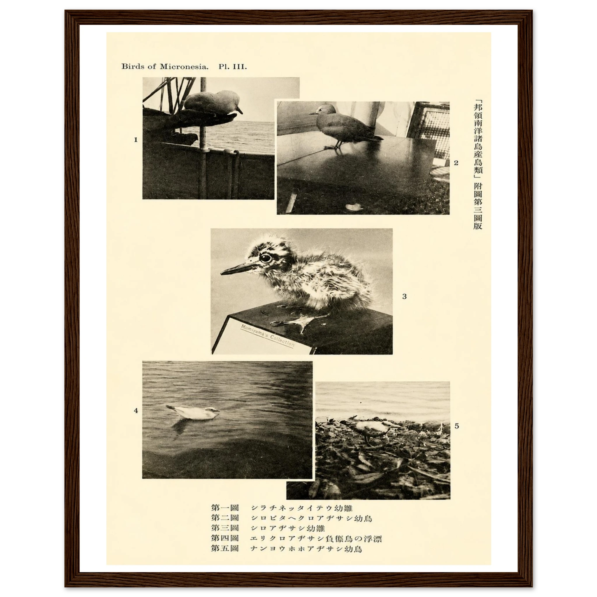 ec383260-473e-4815-bc61-d3fce16b4b6f