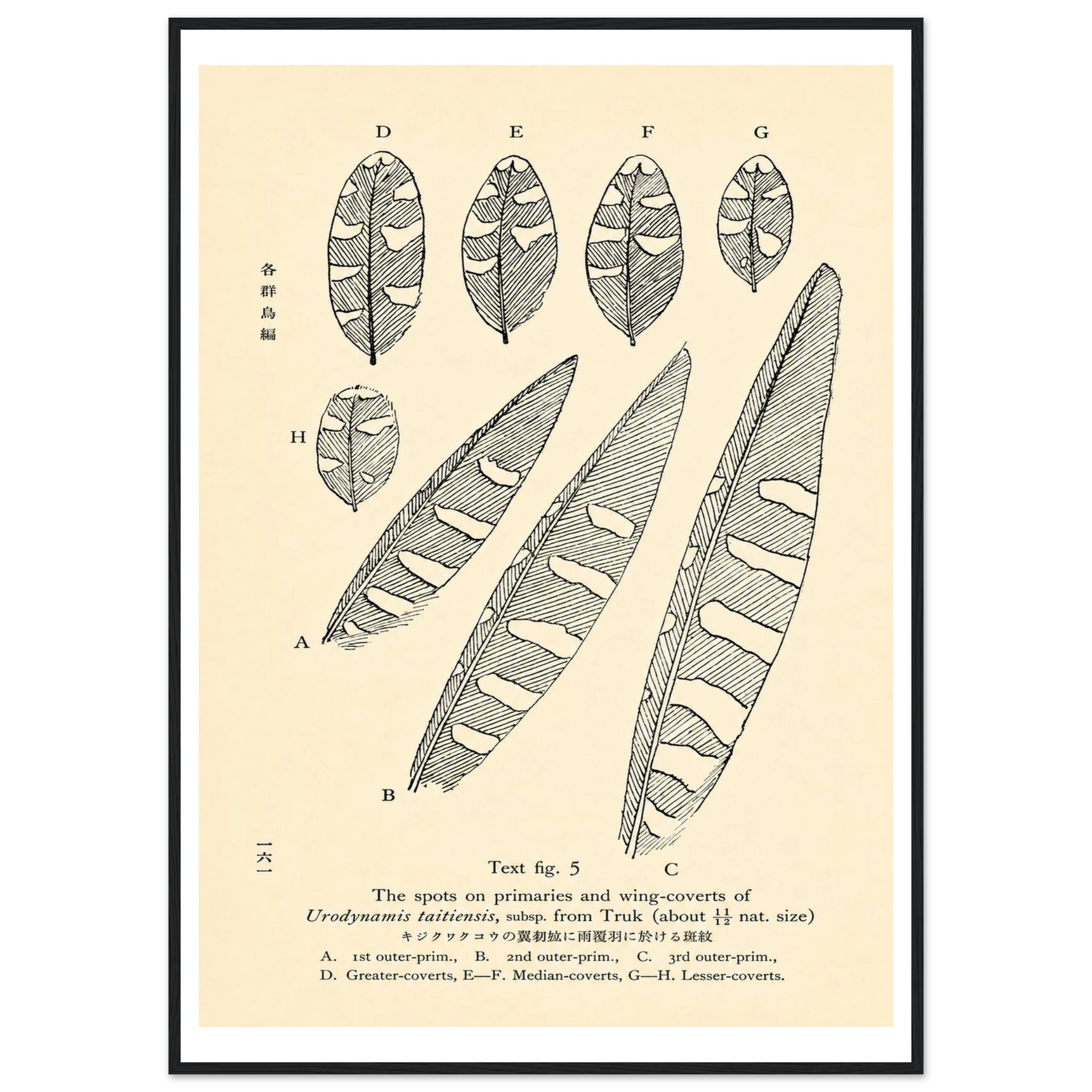 ec4faa2b-dee2-4b9c-ad8f-cc9fc1c9a889