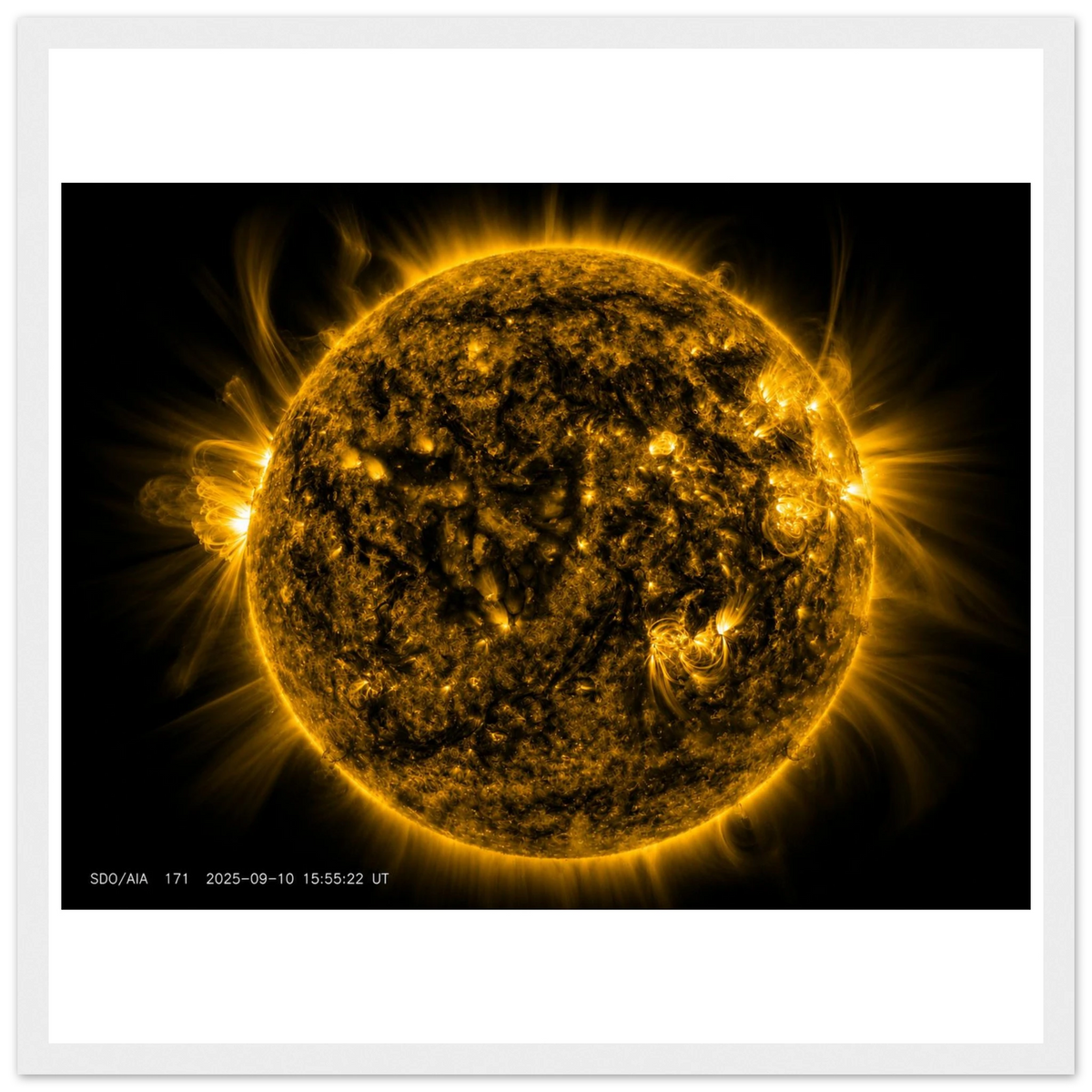 ec502e83-e2a2-41c4-b5c2-a5a9add4808a