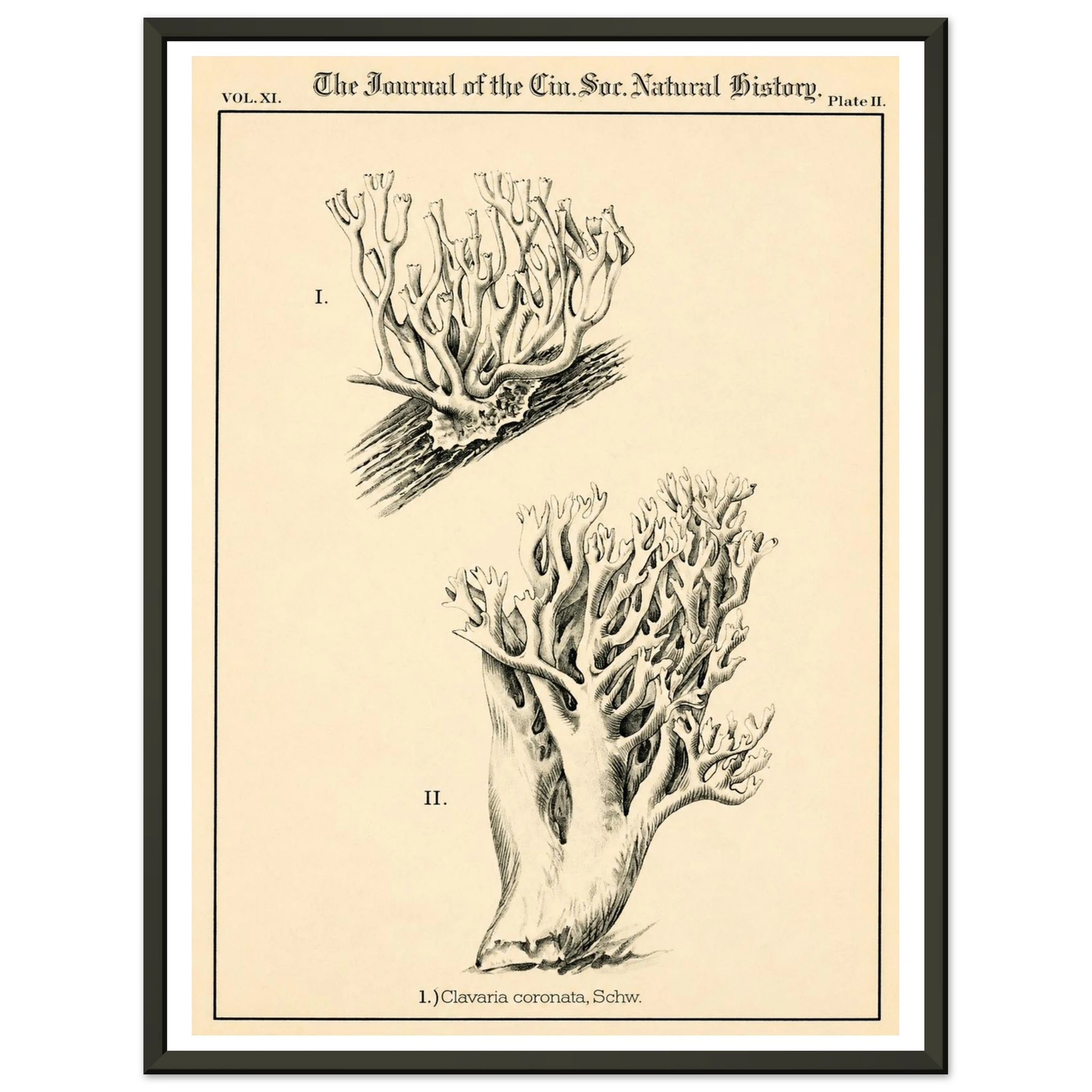 eca4f959-5cb7-49d7-86e3-4ba54c80a6a3