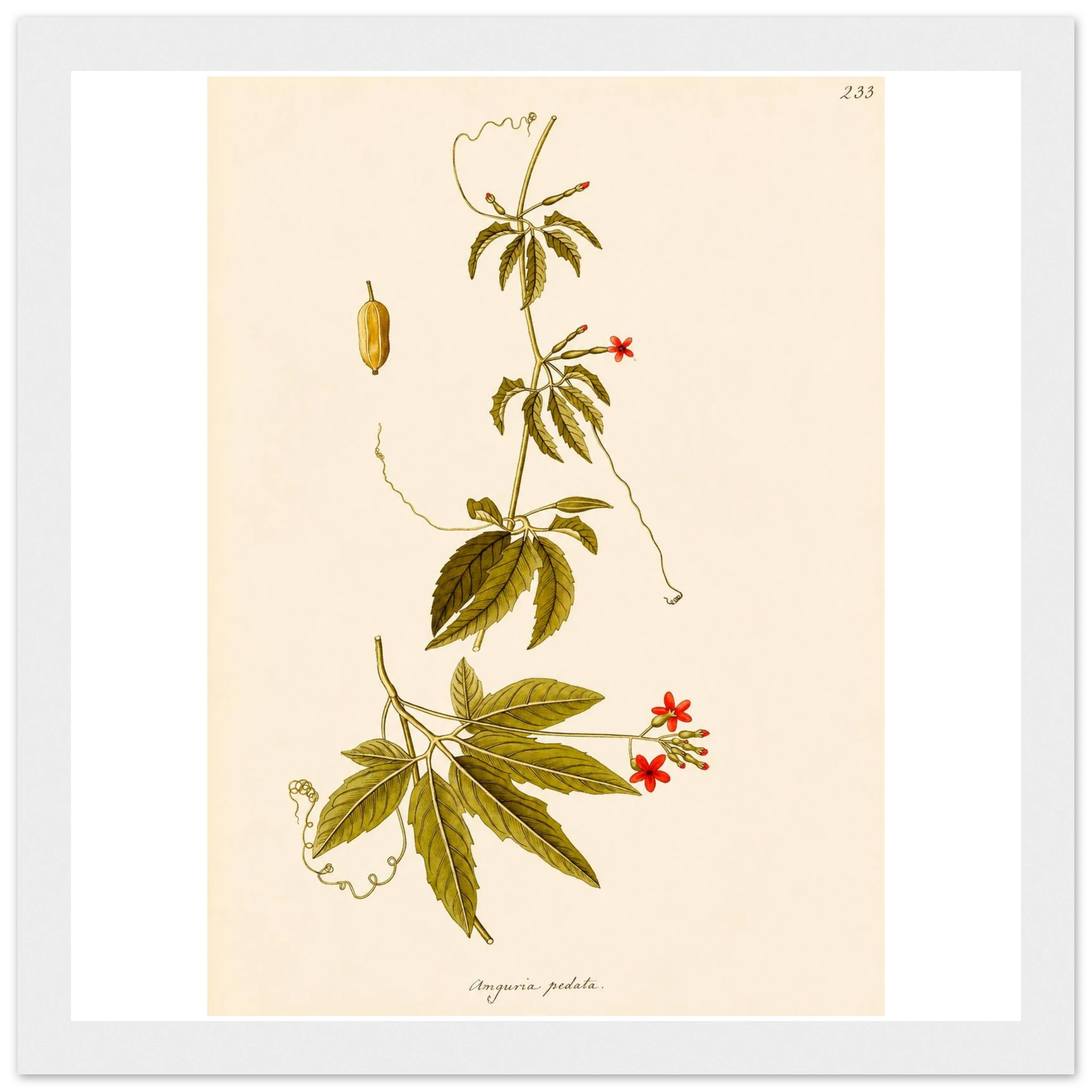 ed3b1077-a0d4-4577-b8c1-24567adfa0b3