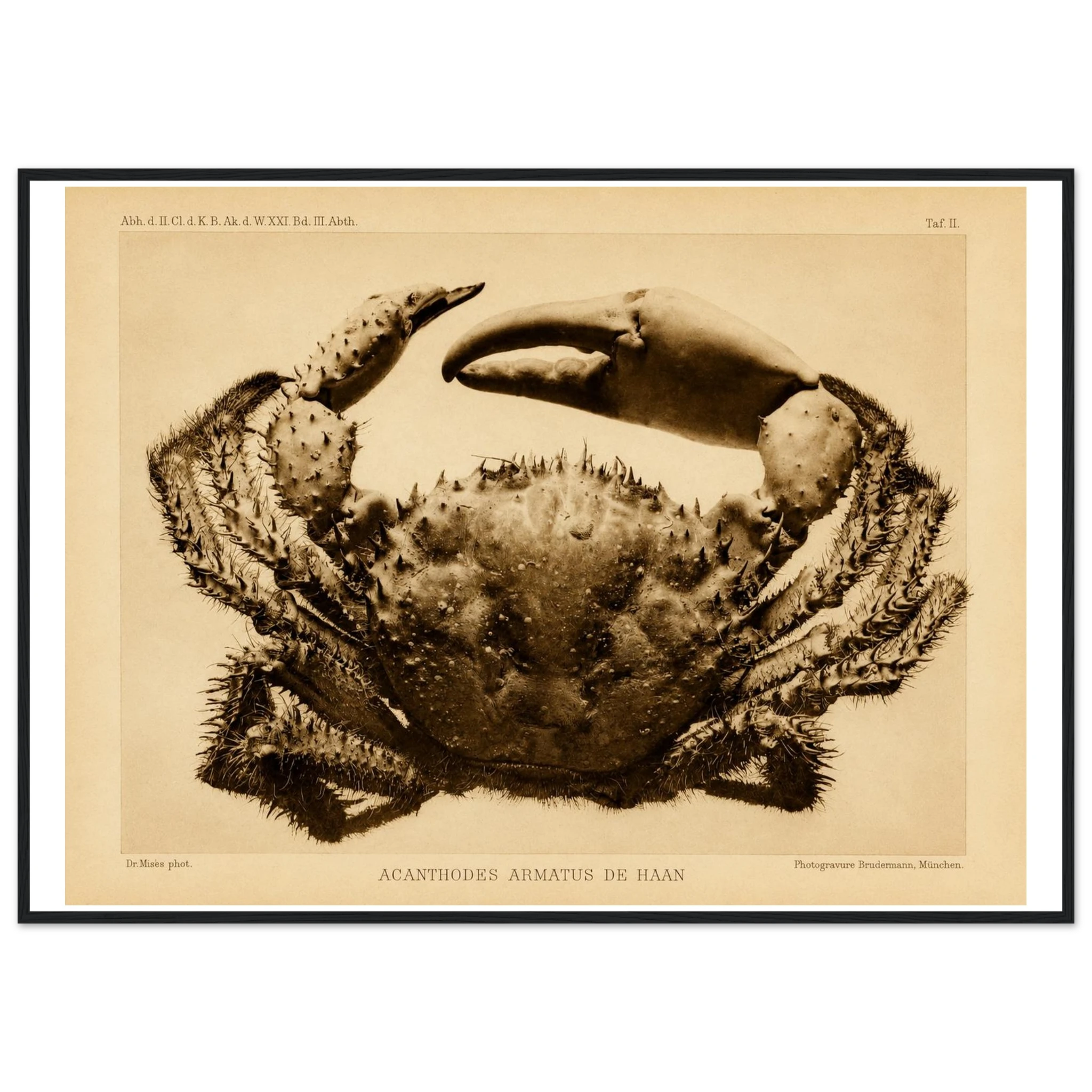 edc83576-d03b-40f3-9b49-1c0bde5addc3