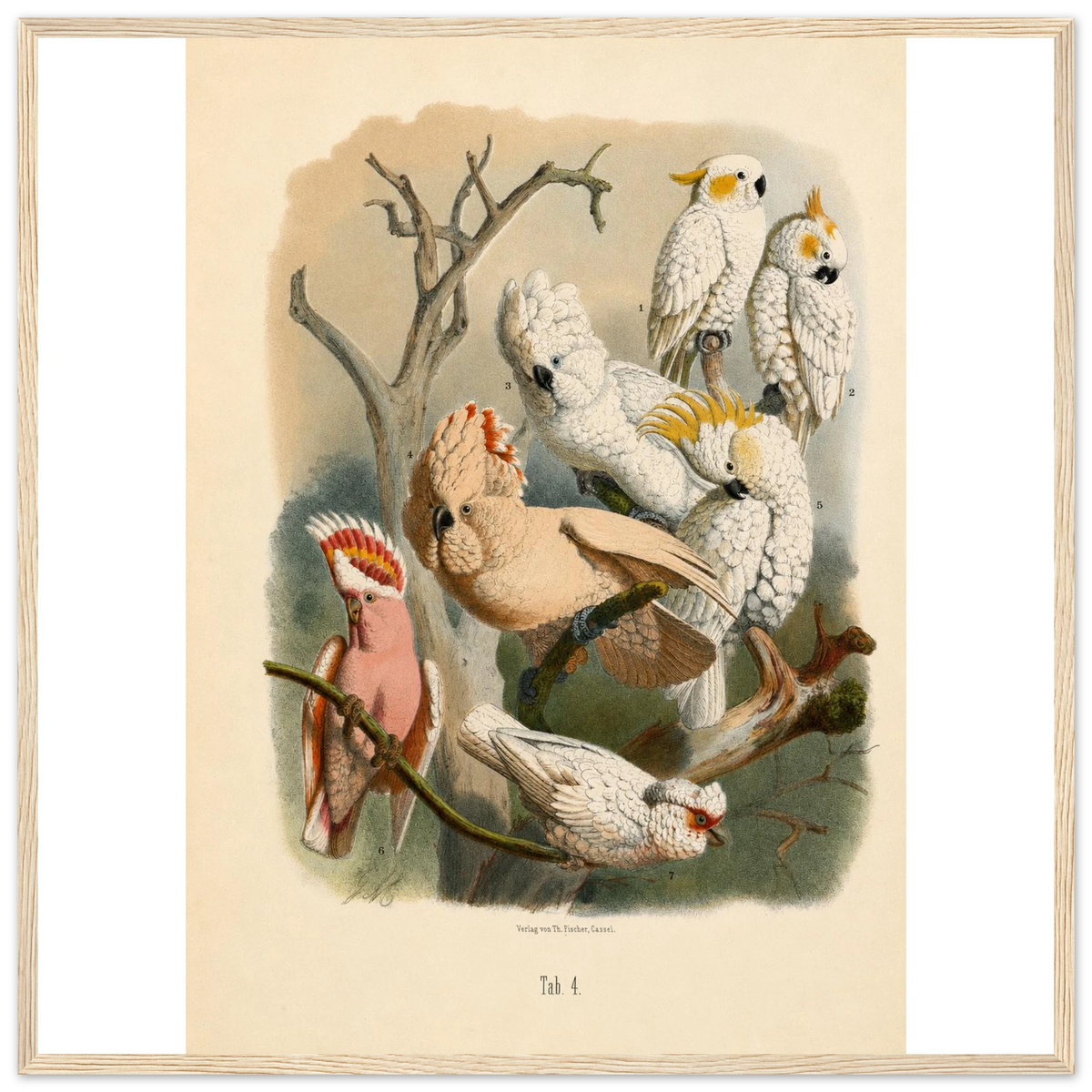 eee8dcfd-9c66-42f1-b28b-483d38314972