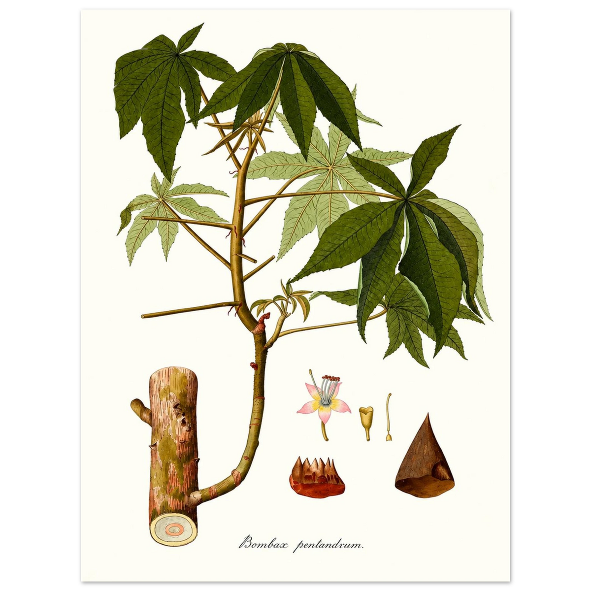 ef1e0f80-4b2c-4f17-aa58-b0e499f9a99a