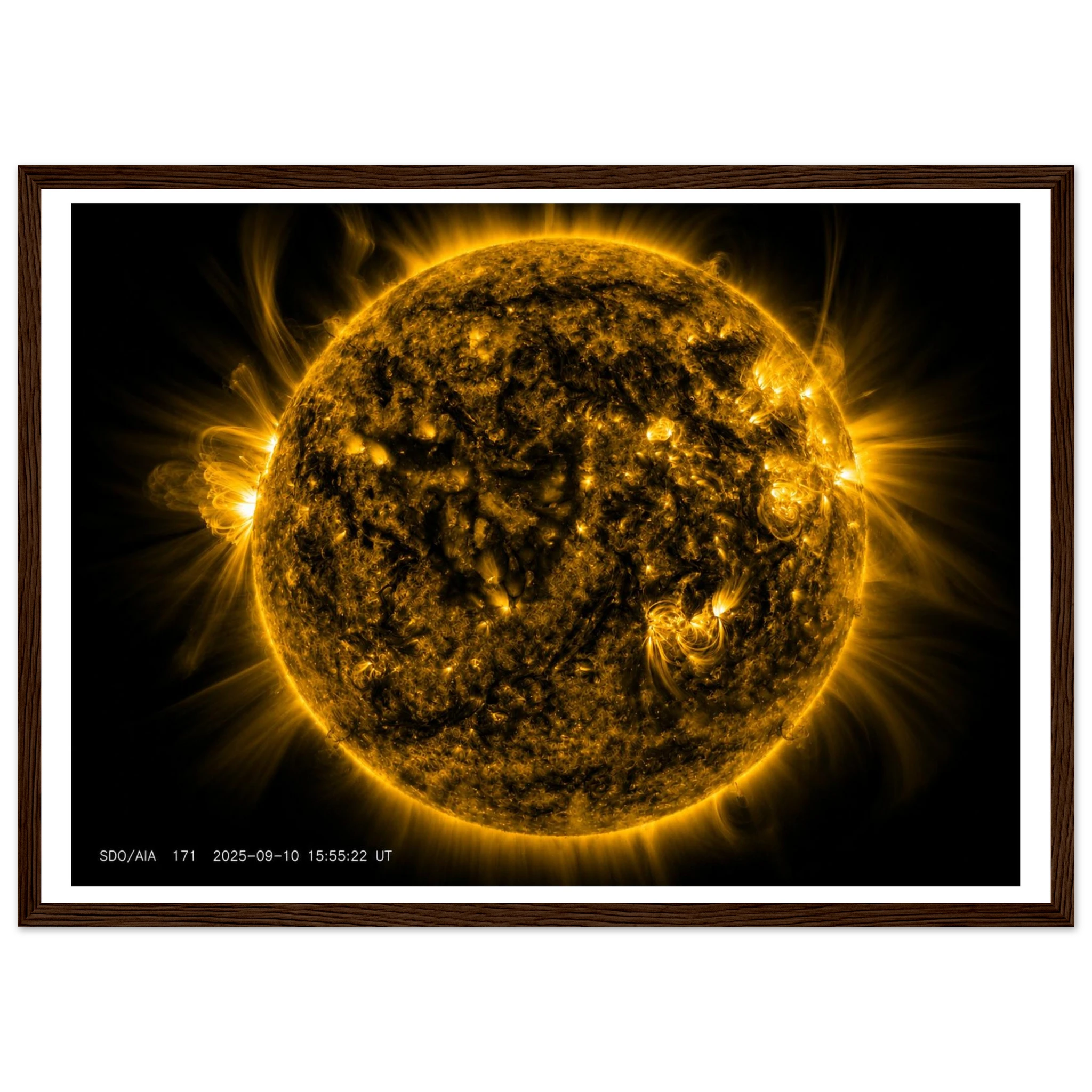 f007a96a-f975-4b75-a2eb-52aa102e25a6