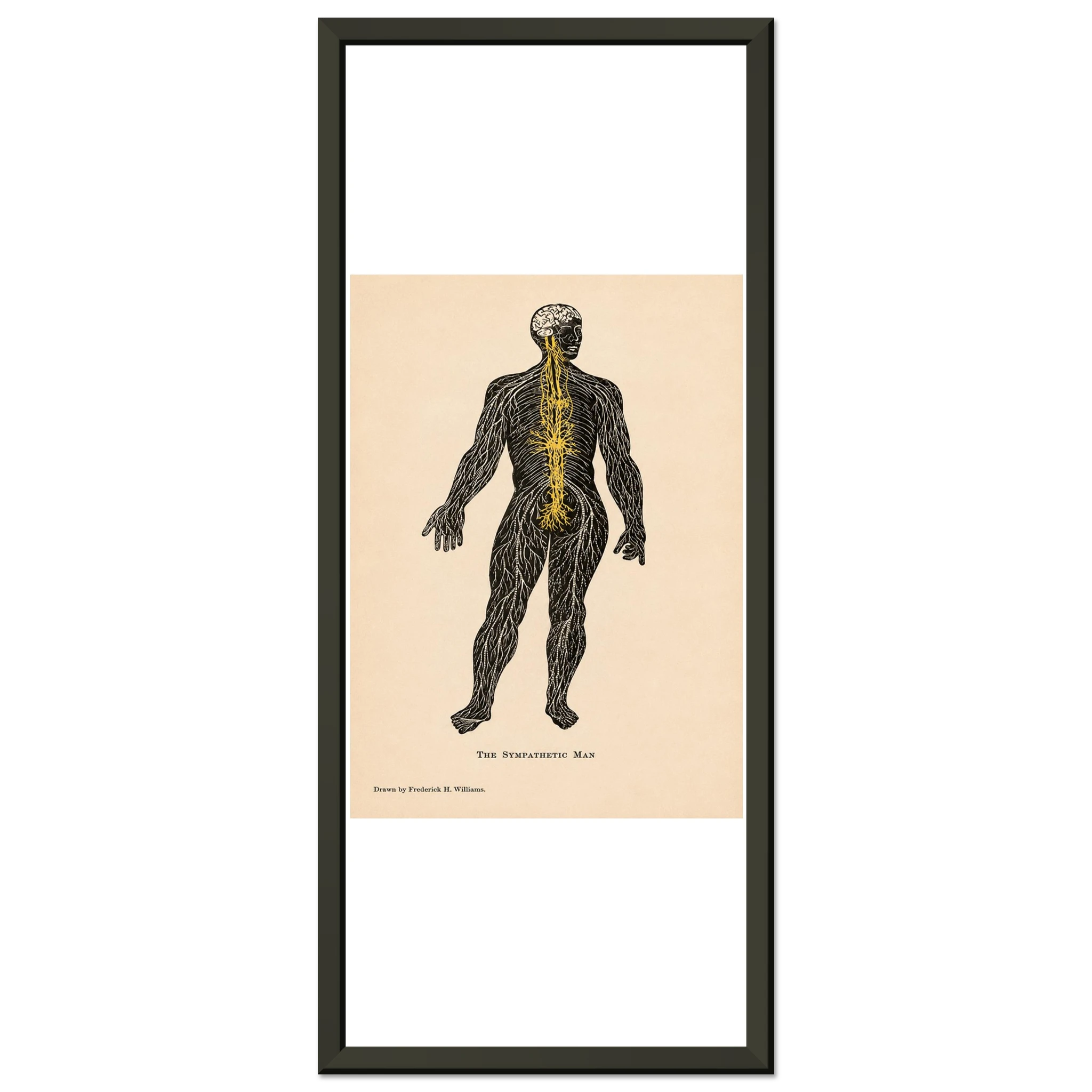 f0bebca0-f311-4397-ad57-f587a9334eff