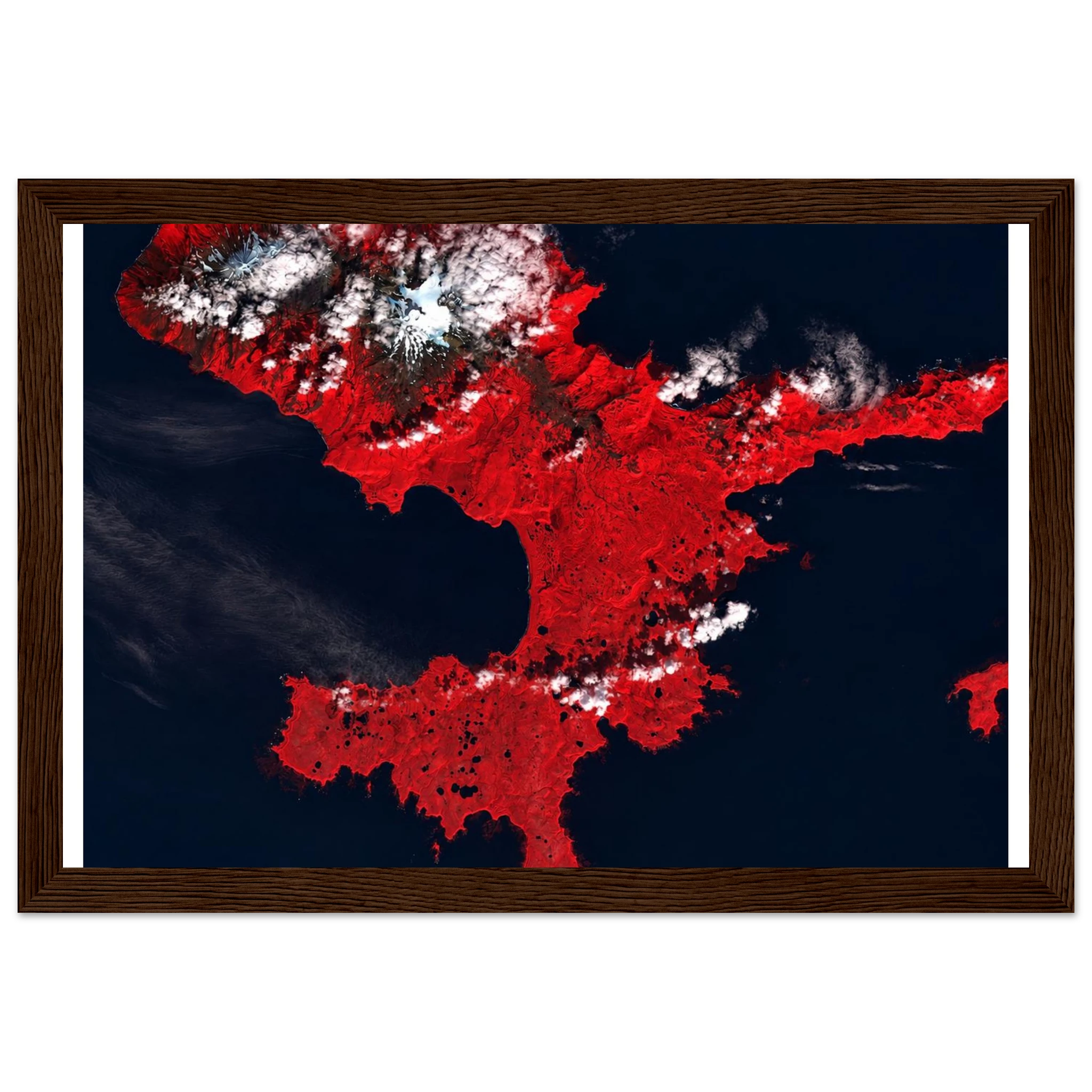 f0d7529d-1e5a-4823-8f30-fdecba4d2983