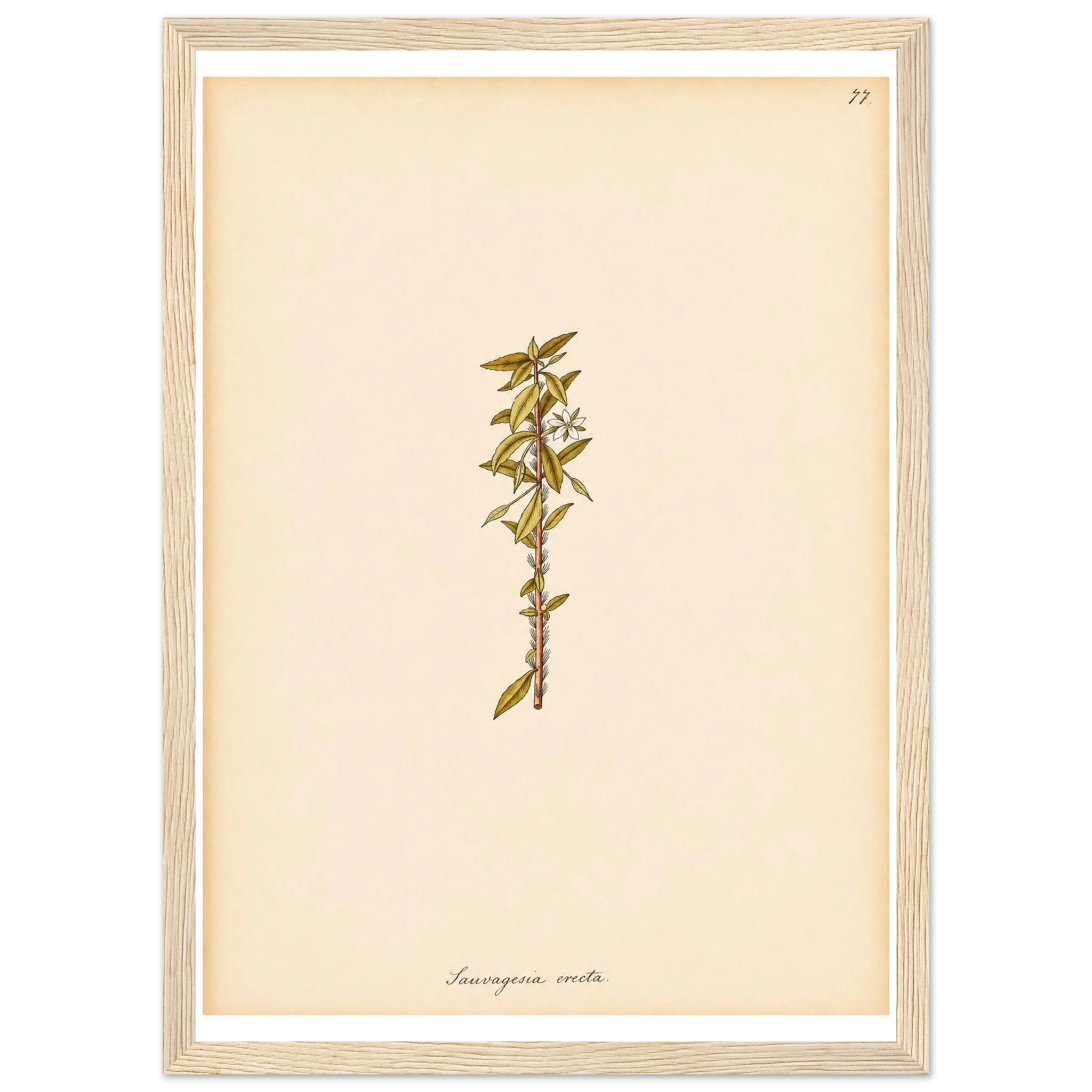 f1a34e3d-04ee-4e4a-9b25-f351bdec6195
