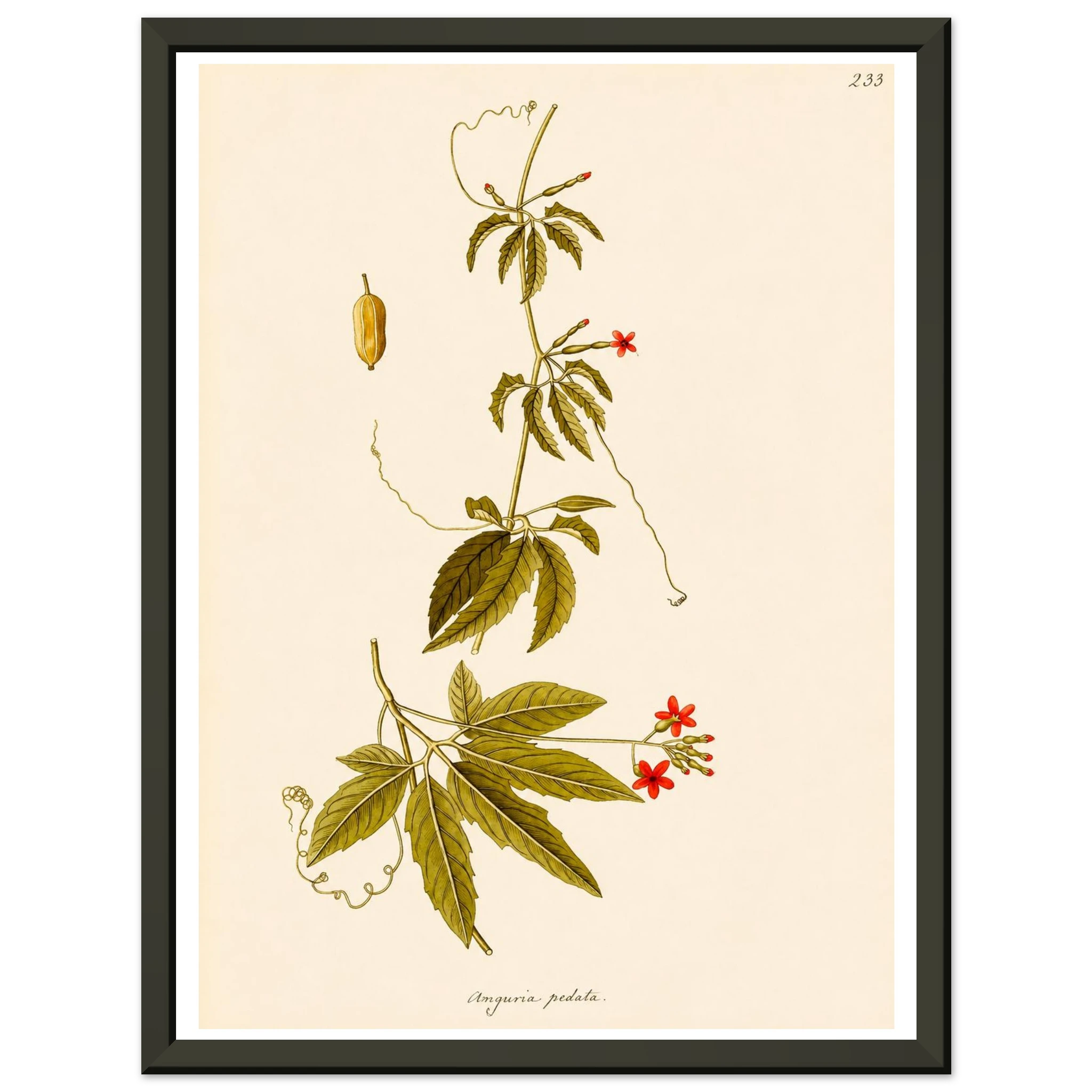 f1de1ed3-f521-4501-99dc-c5892d2c7c5f