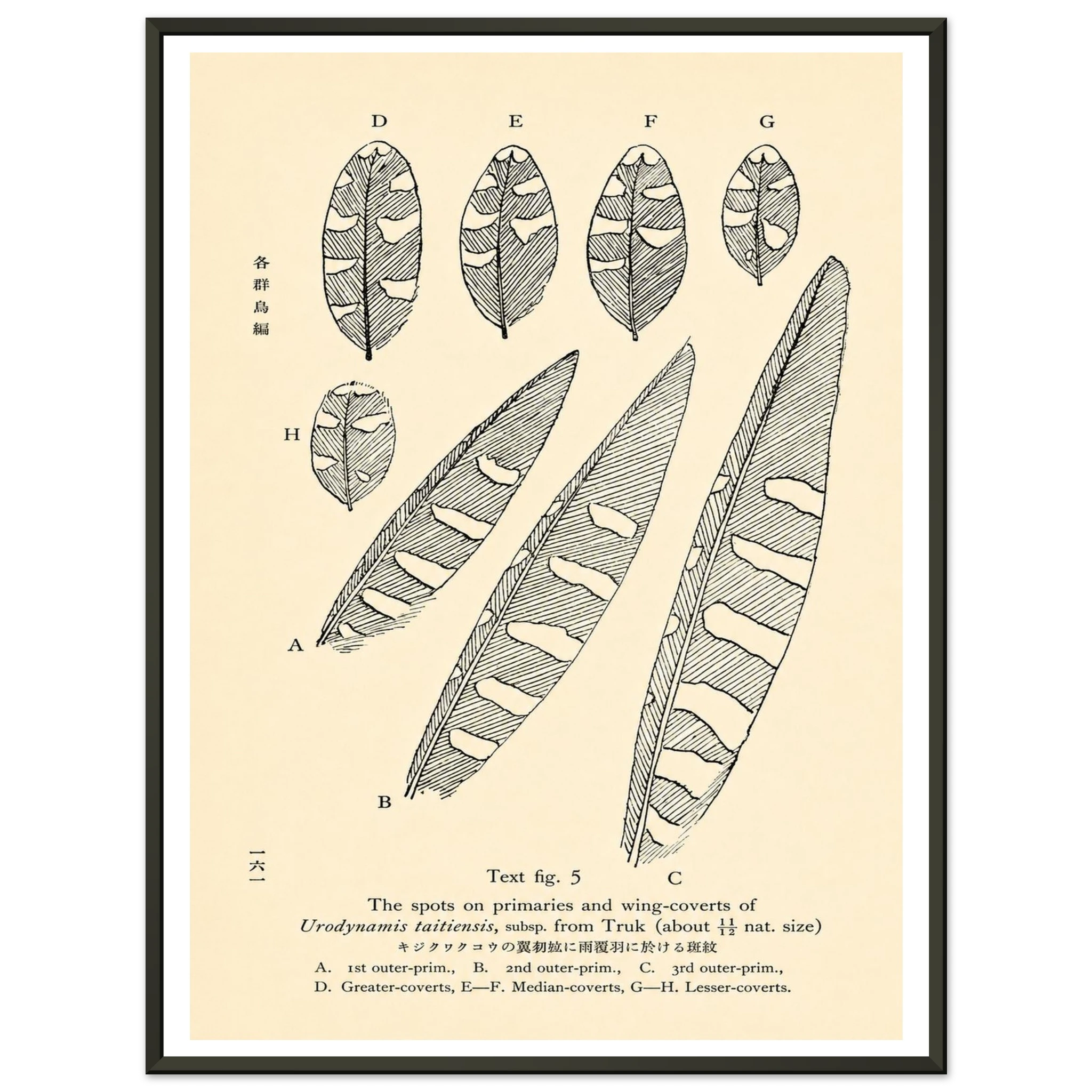 f21a4db5-2d20-4705-abc7-cffeb47574ce