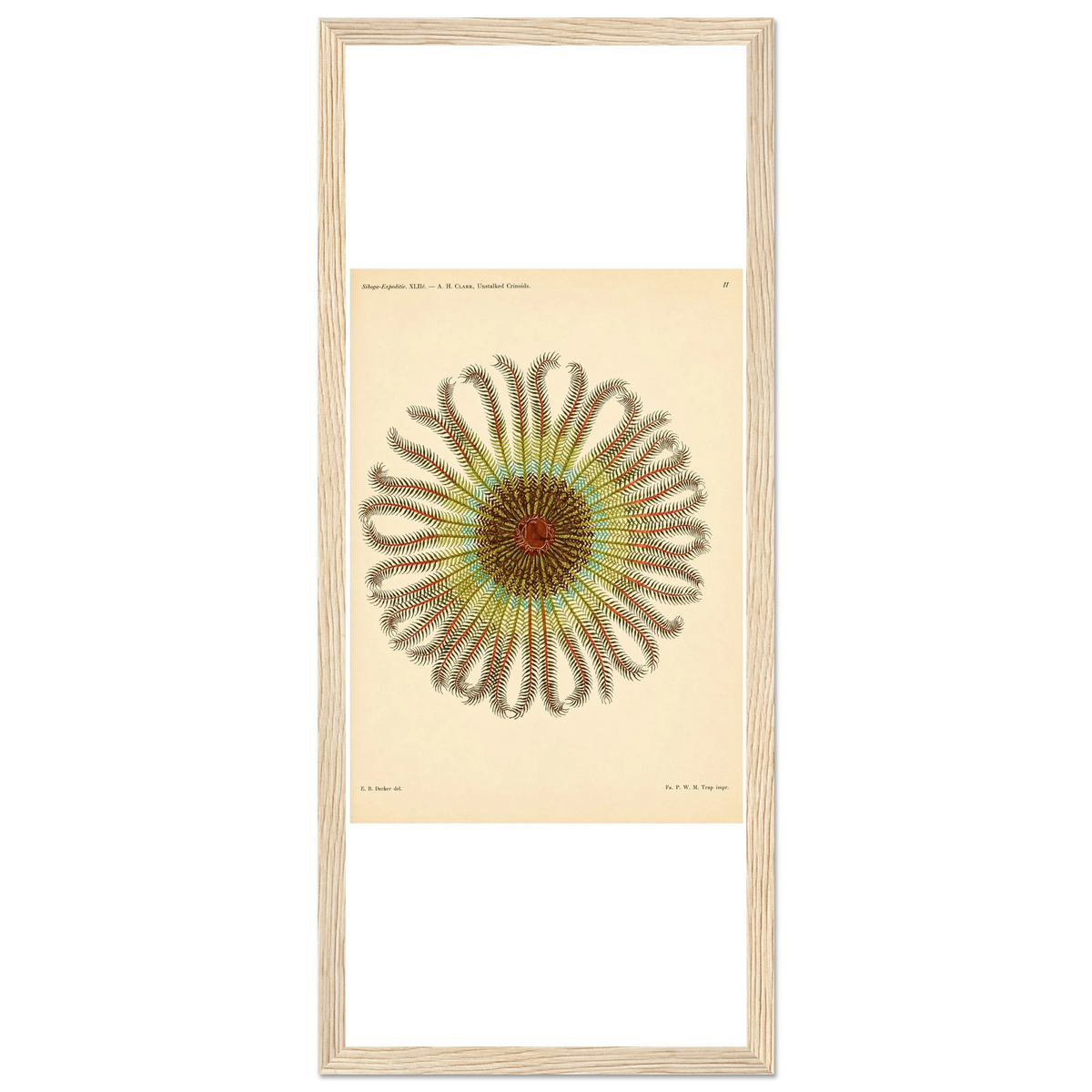 f2d58519-2125-41bd-8bcb-b660f543ed9a