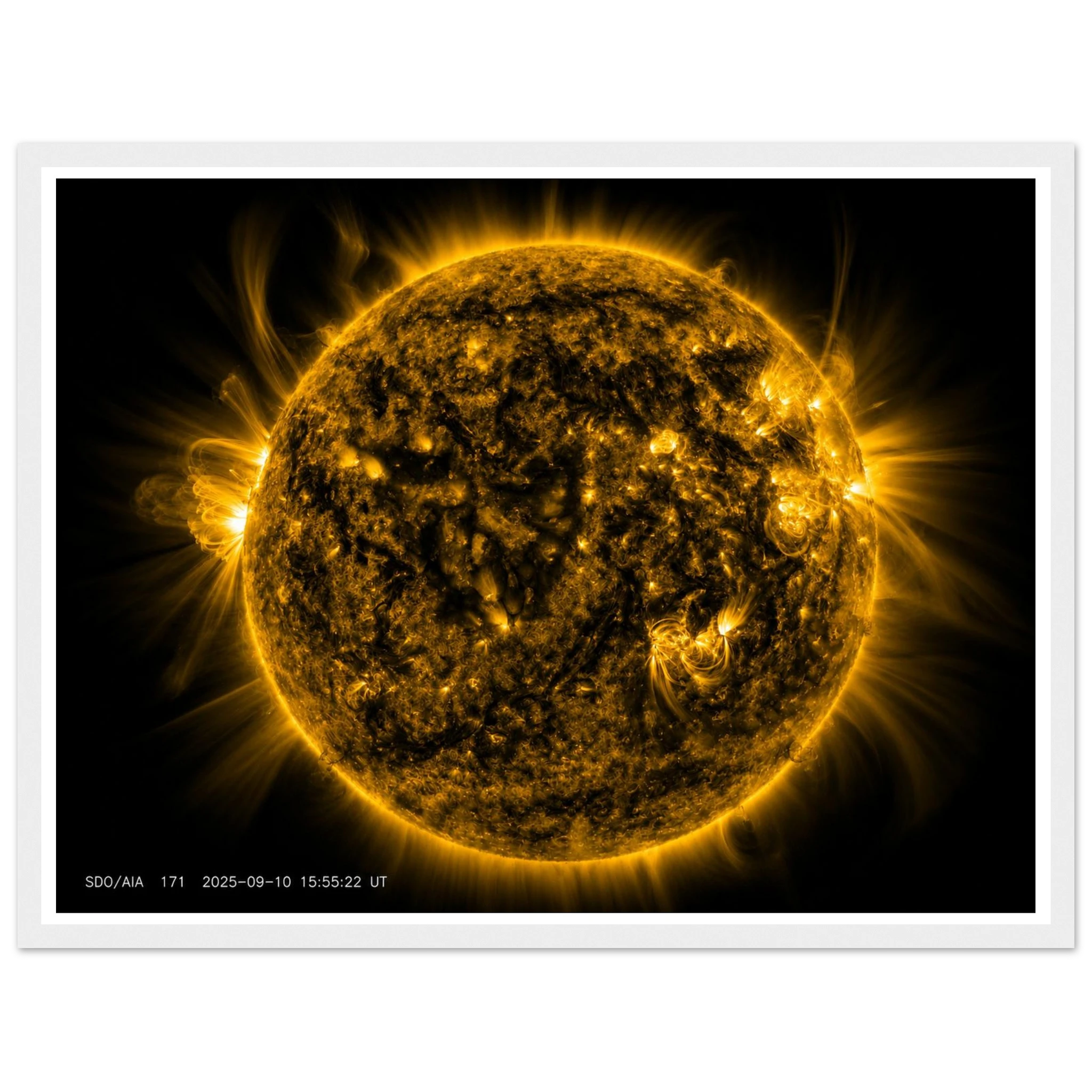f313c98d-18ae-40d5-8ed2-9bd46a651a11
