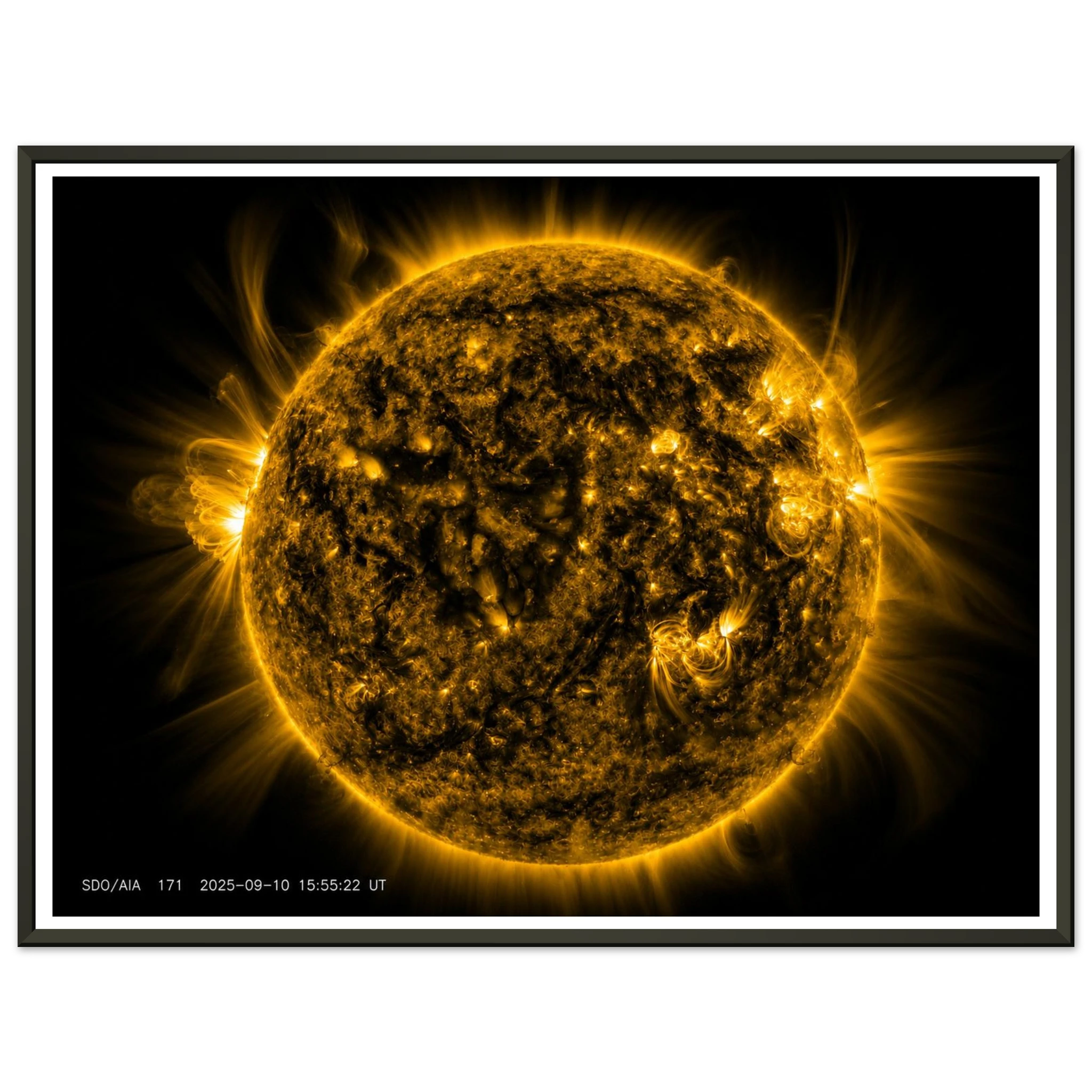 f31e5e75-29f8-4297-ba60-c1bef38ebfd0