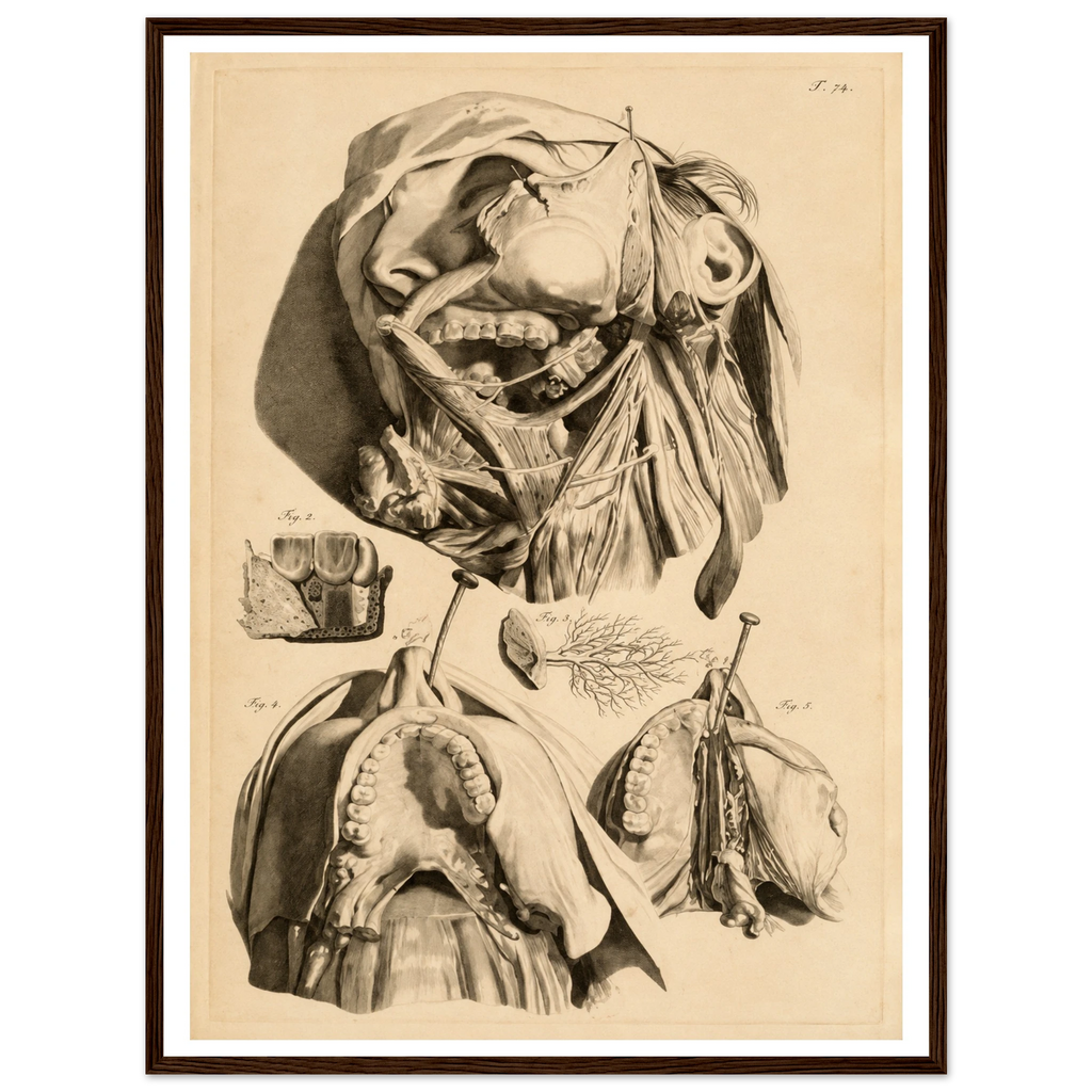 f32915fd-d6dc-4c16-8ba6-ea3d8f7b5f26