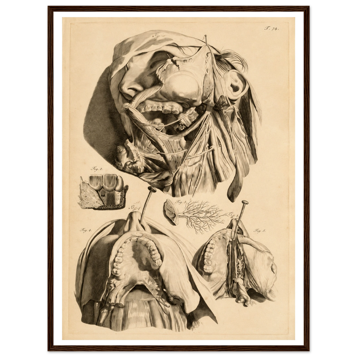 f32915fd-d6dc-4c16-8ba6-ea3d8f7b5f26