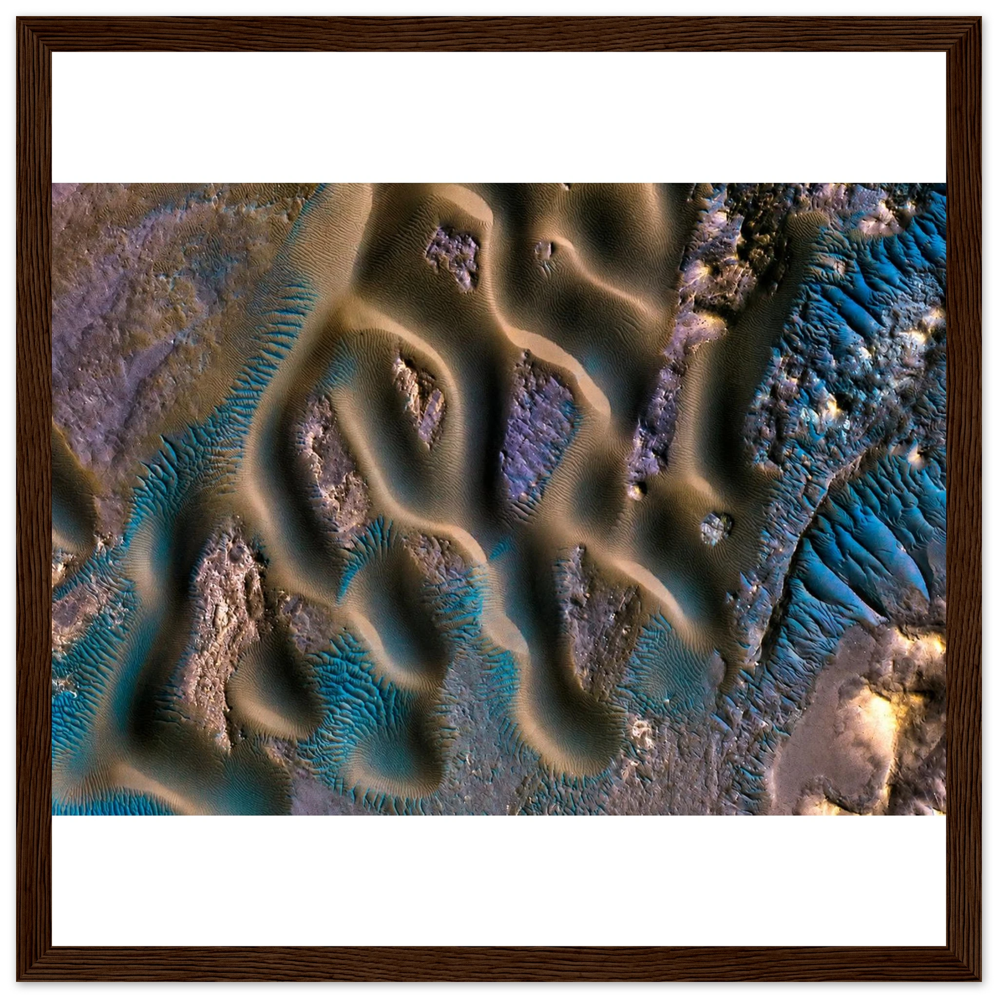 f35d5004-a020-4759-8618-2fb24e464028