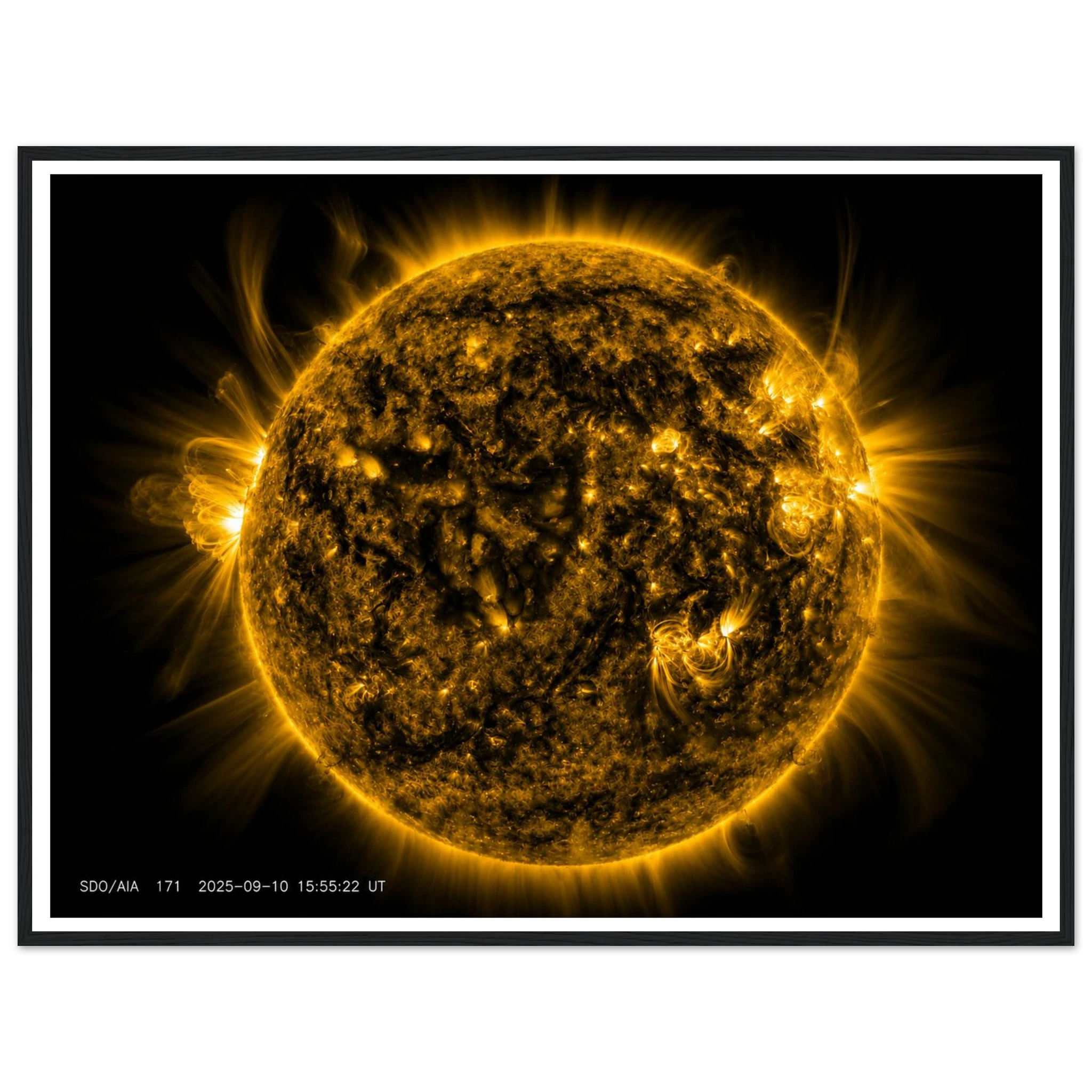 f369f5cd-405e-43b2-aeb6-d4b11040aa64