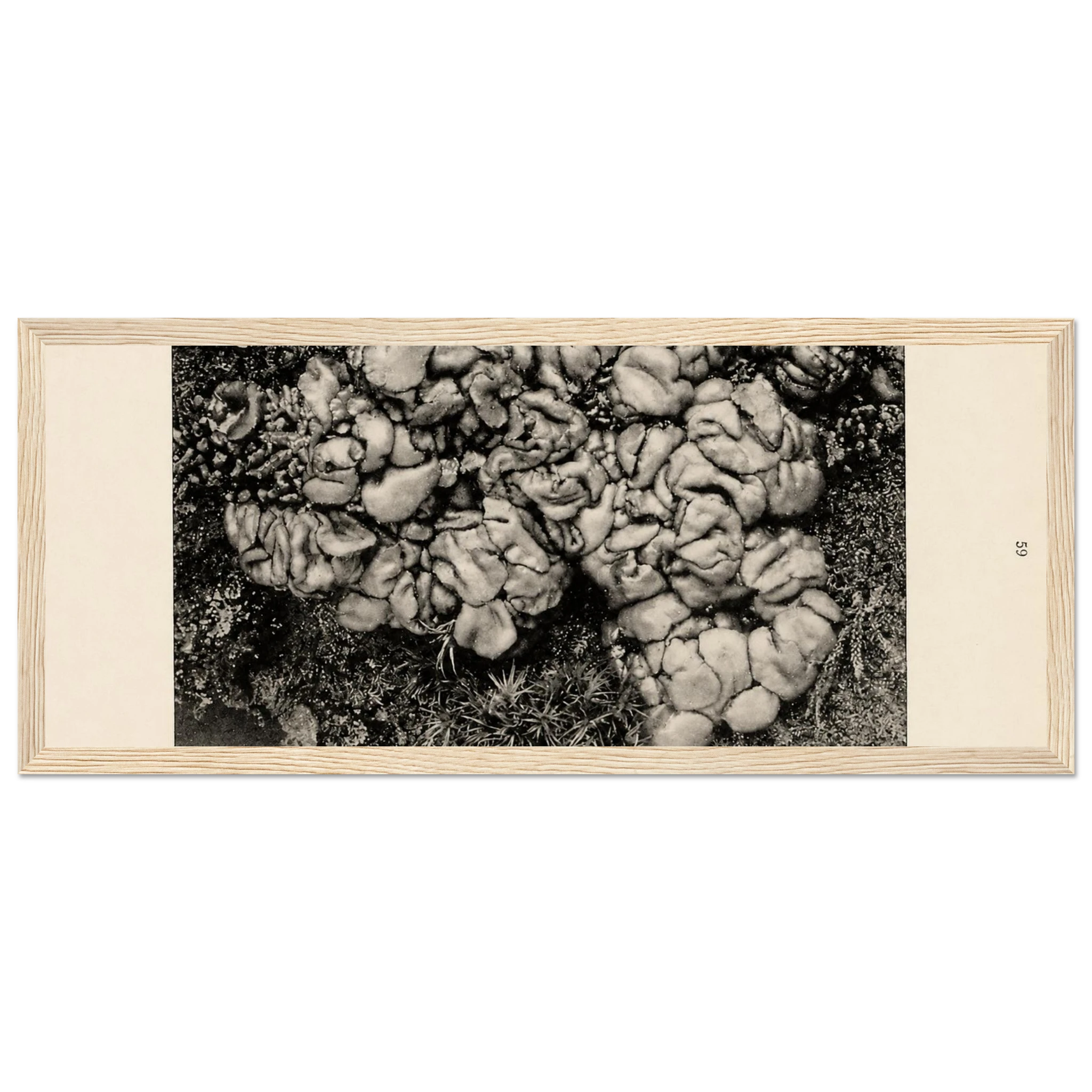 f3add8a4-3b86-4c8a-8e11-2ddf03886272