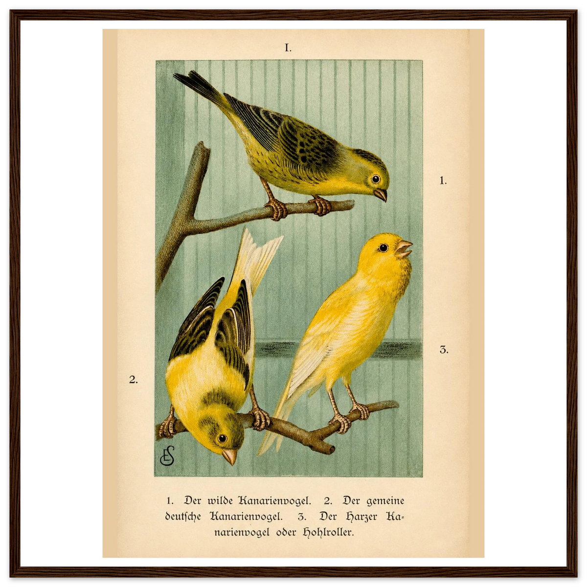 f436c0fc-9863-4067-95f4-0023df69b42c