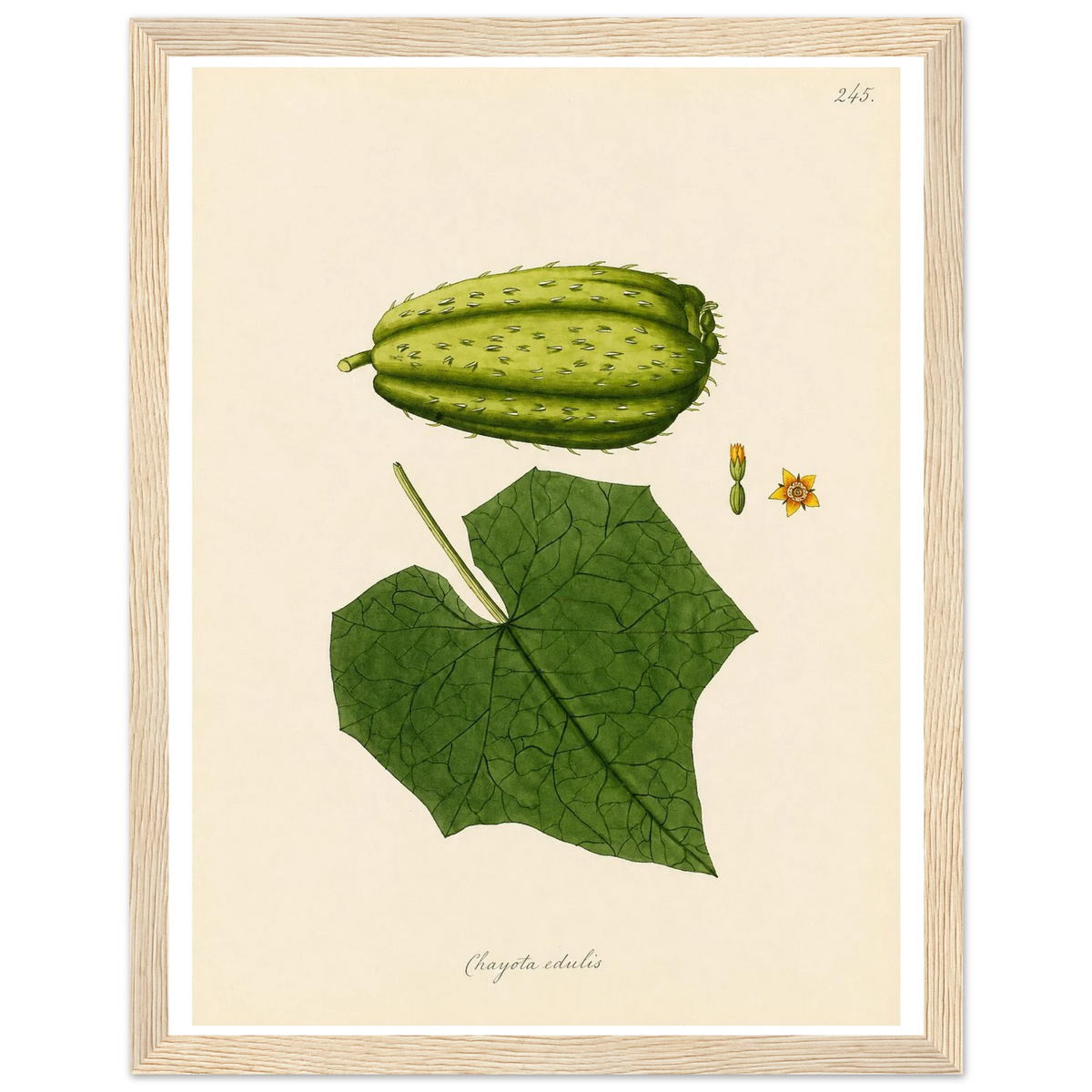f466b232-a13f-4324-8c38-9bb84f8039c5
