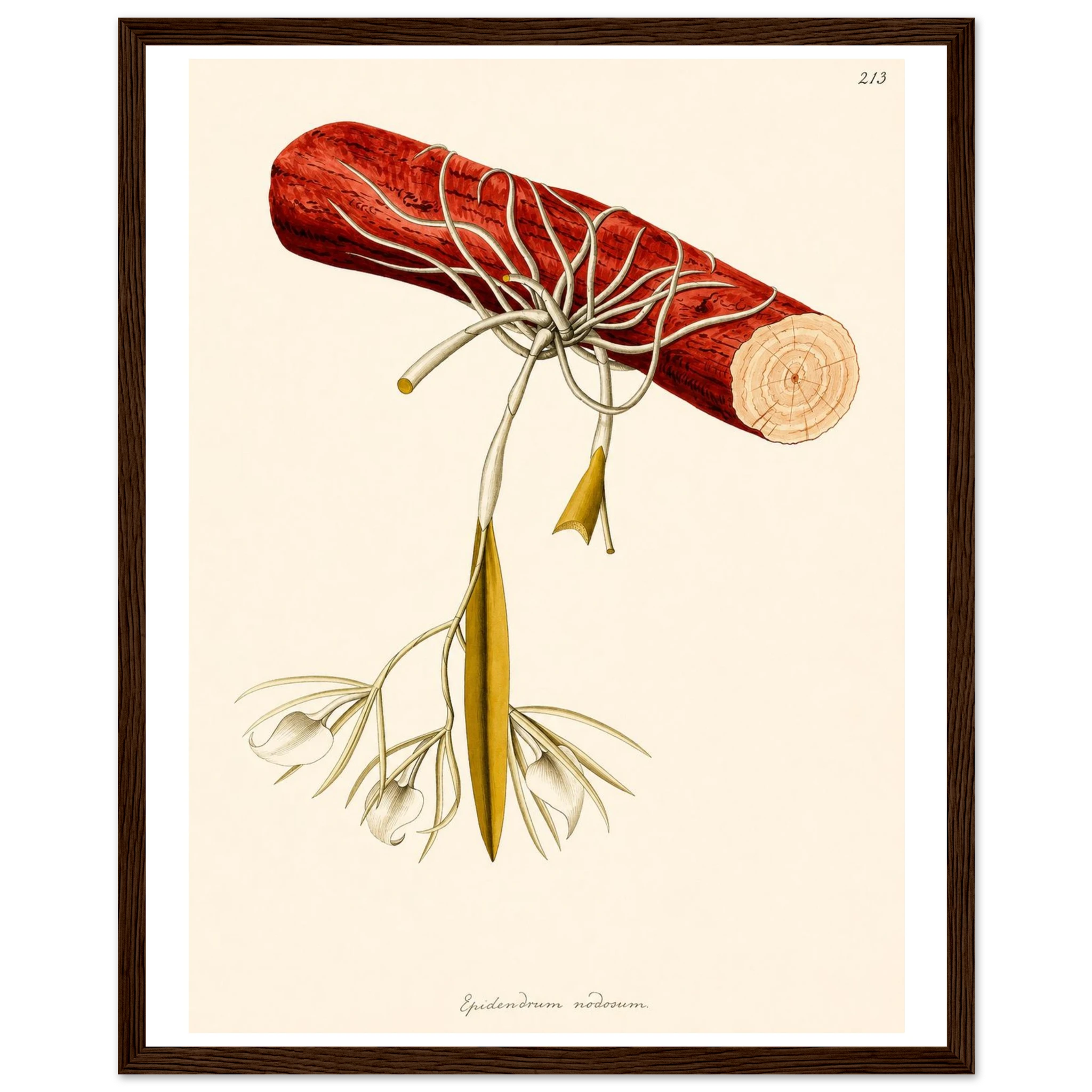 f502ad52-4214-4e10-baed-25b4207fe854