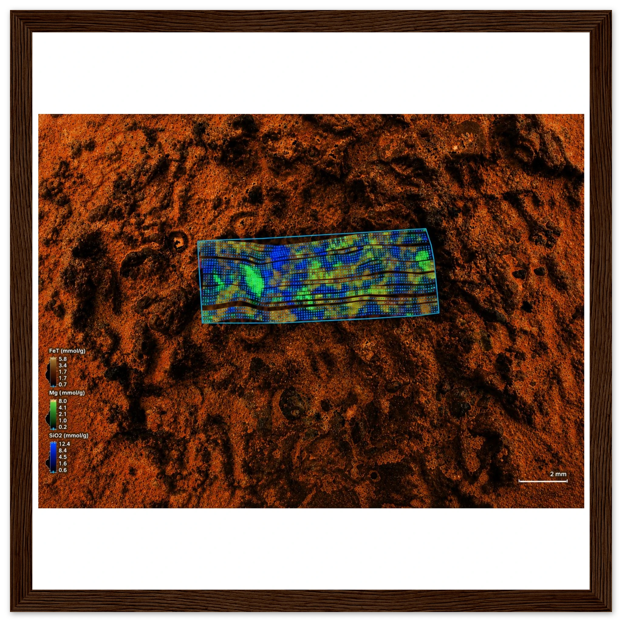 f5551619-da5d-425f-ad40-bafeb83f0e92