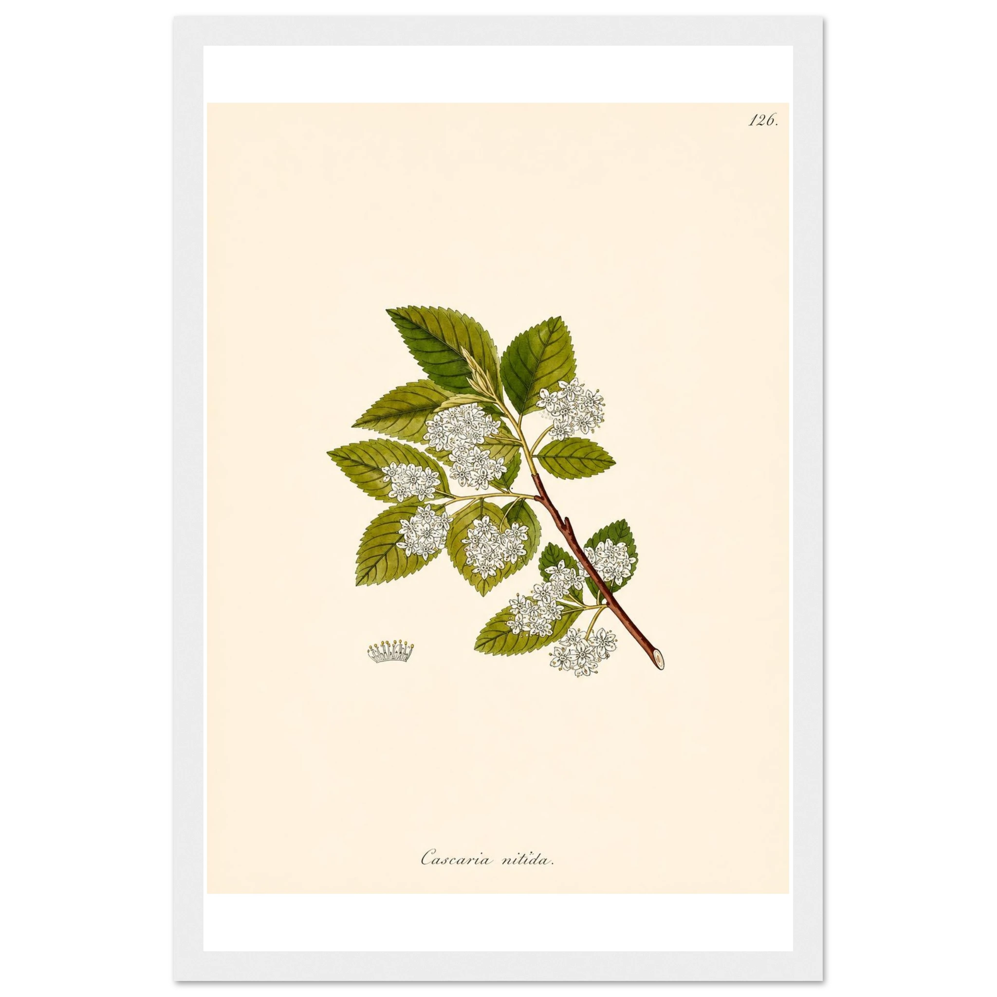 f5b6a5c1-3625-424b-8ea7-3af63c68ae8f