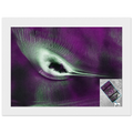 f72f45ba-5c53-429a-9873-a773dd92069c